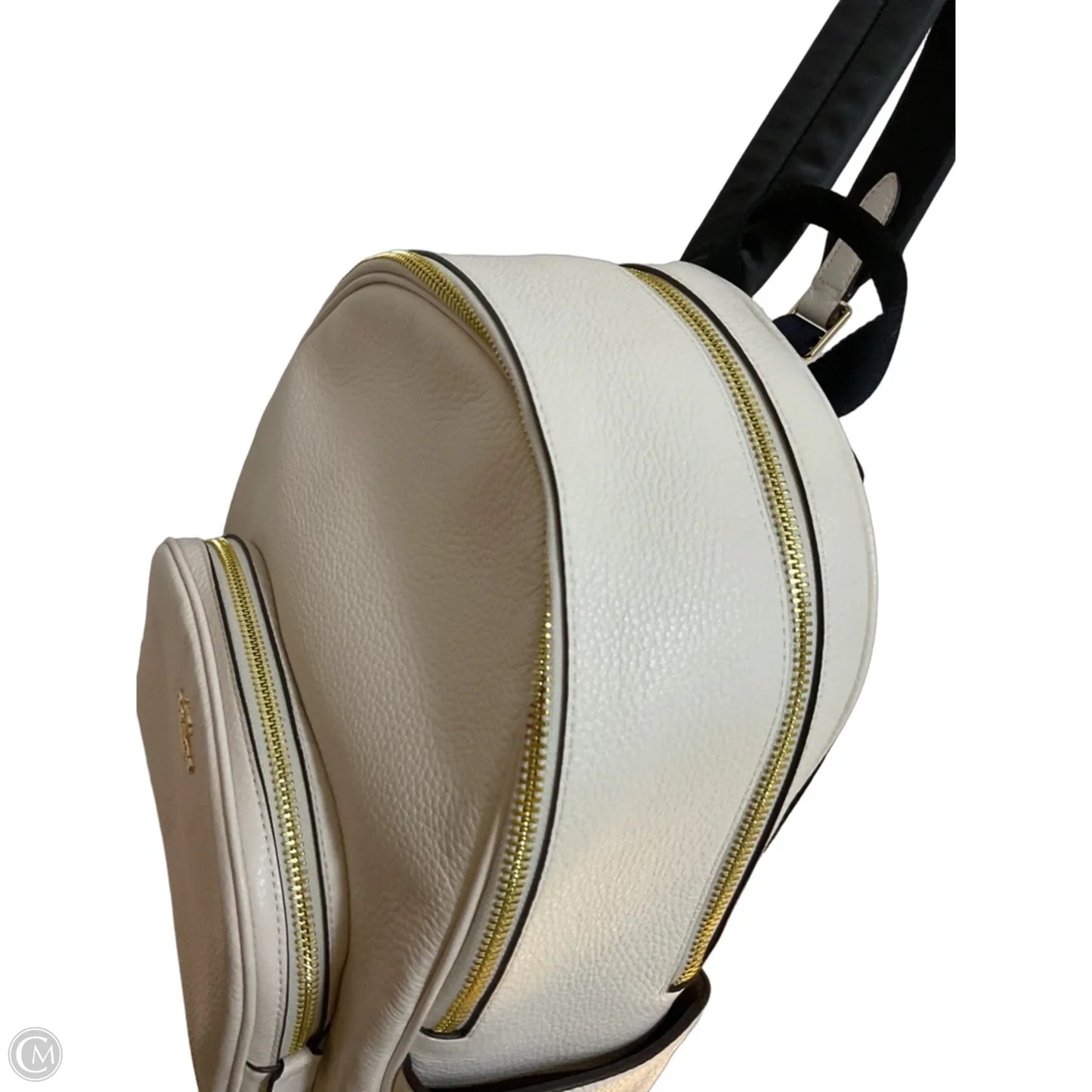 Backpack Designer By Coach, Size: Large