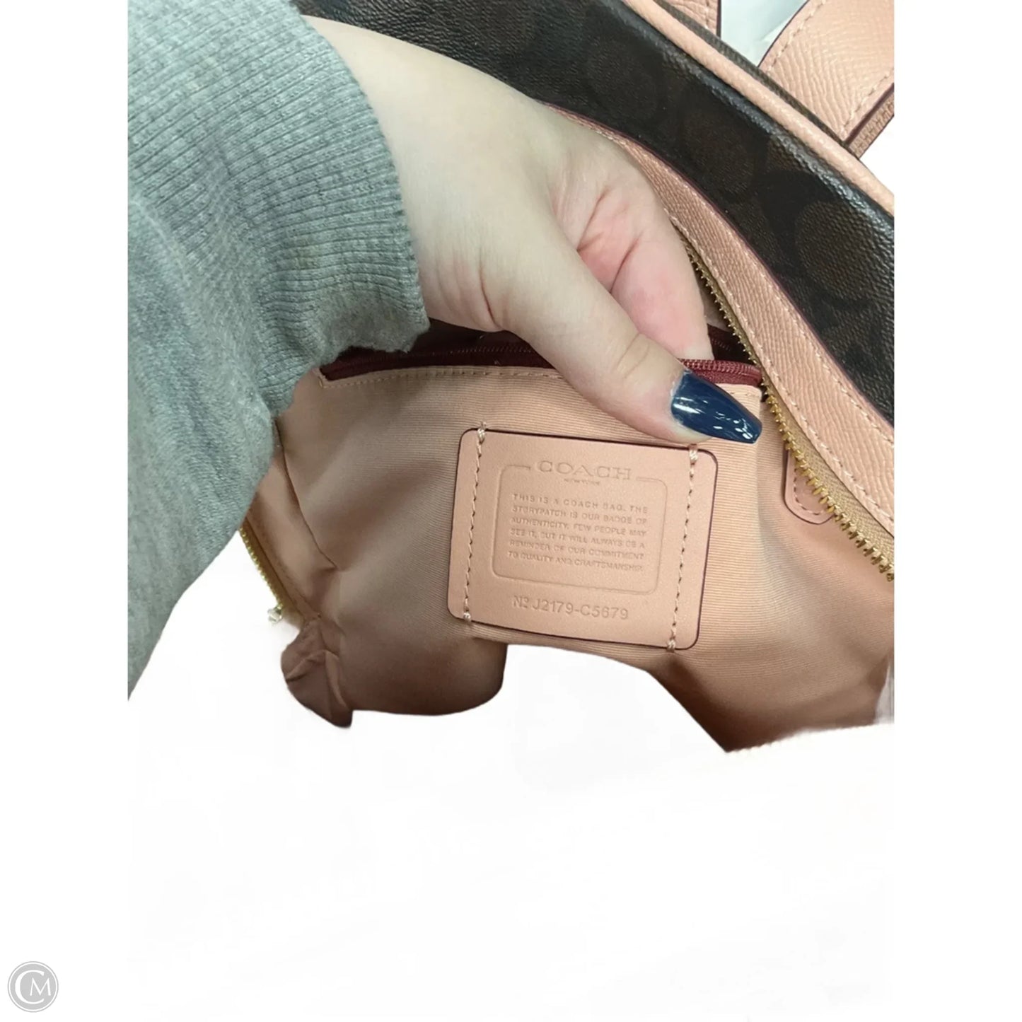 Backpack Designer By Coach, Size: Large