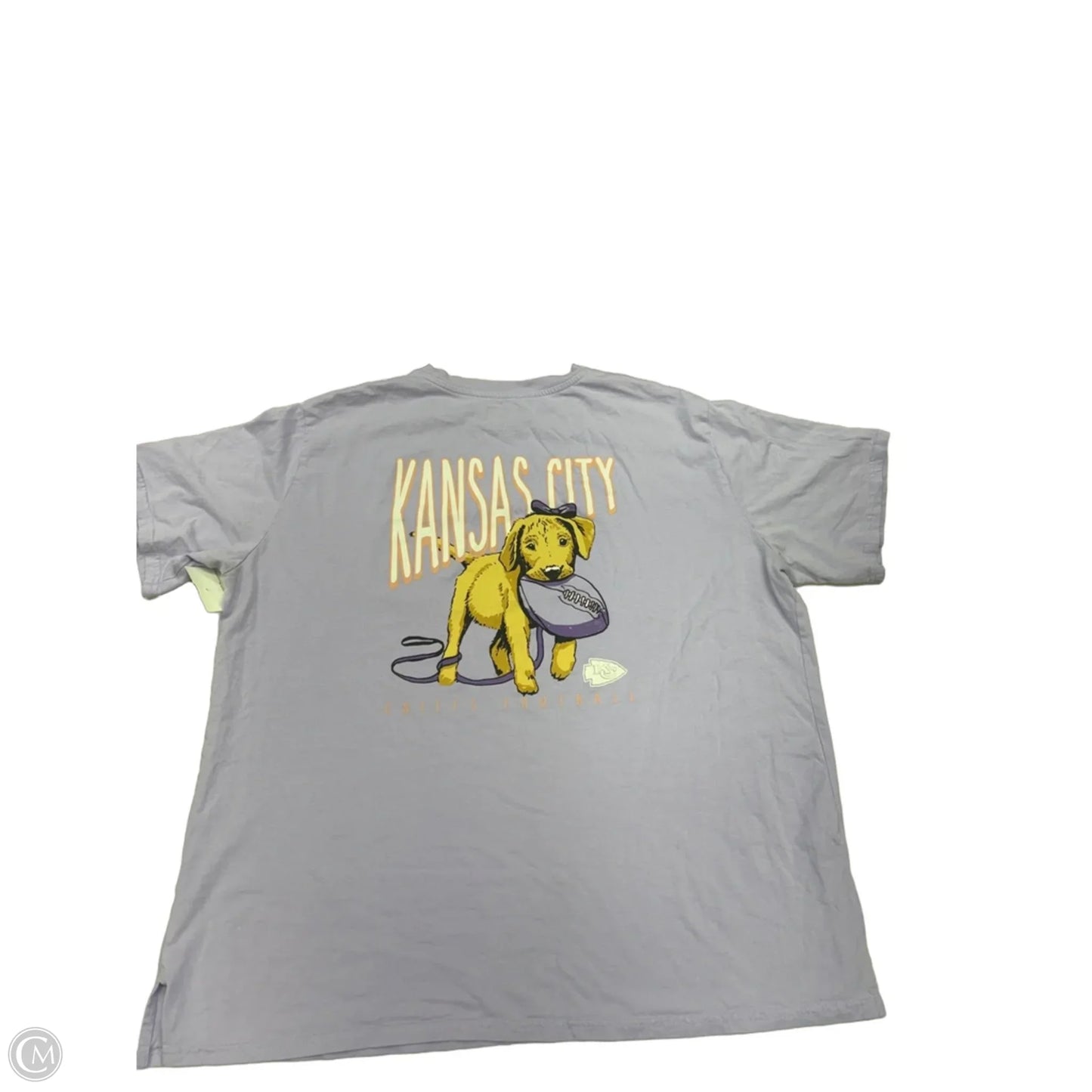 Top Short Sleeve By Nfl In Purple, Size: 2x
