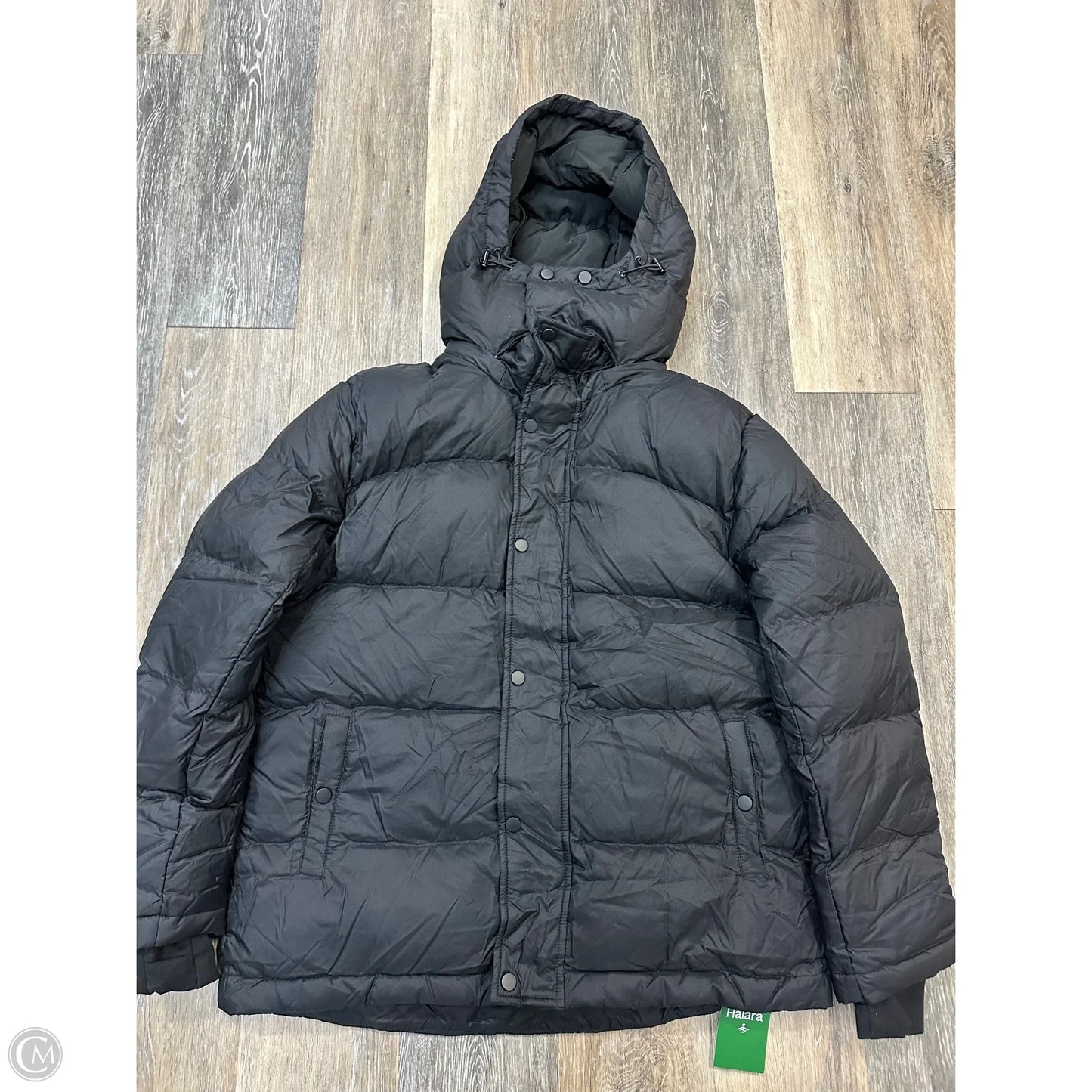 Coat Puffer & Quilted By Halara In Black, Size: M