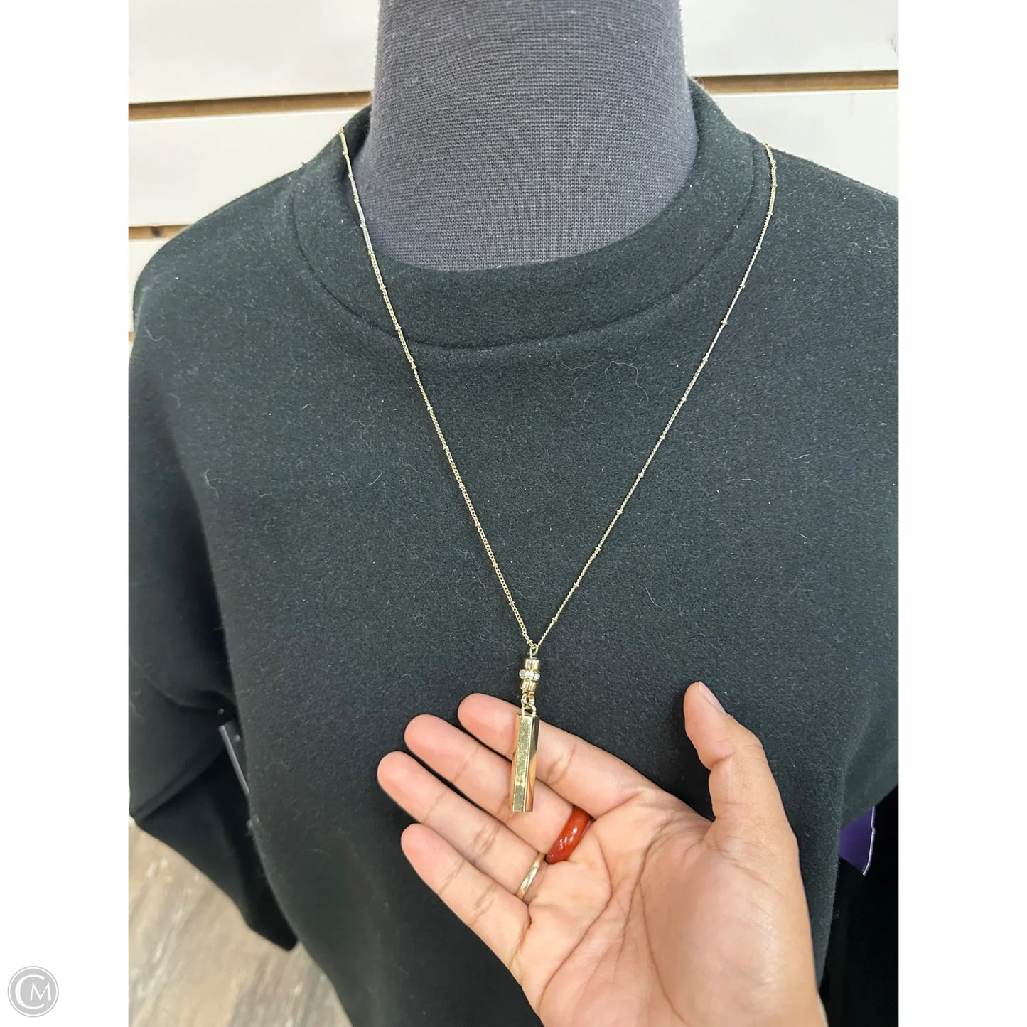 Necklace Chain By Express