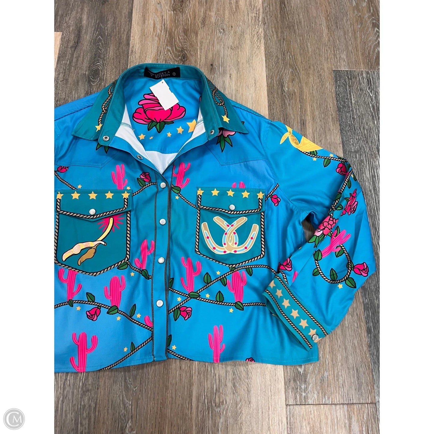 Blouse Long Sleeve By Lucky and Blessed In Multi-colored, Size: M