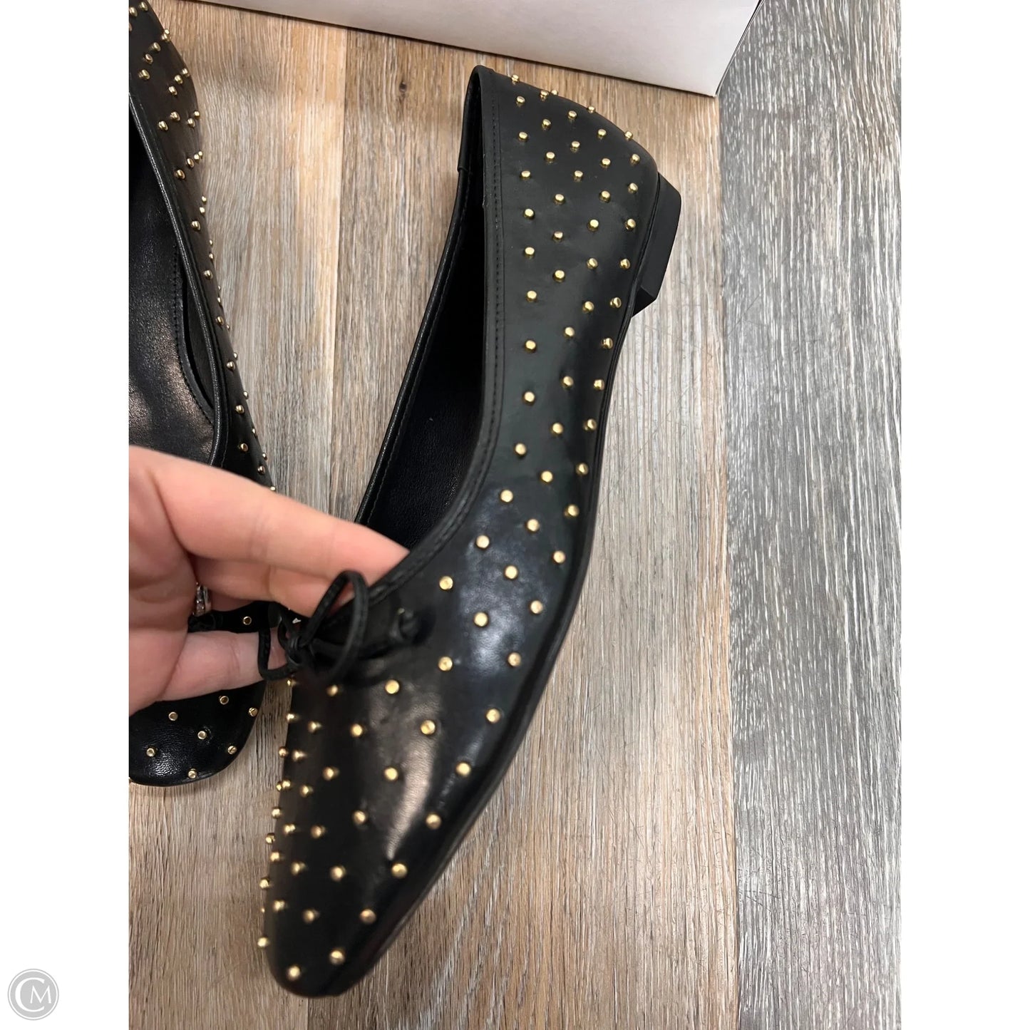 Shoes Flats By Schutz In Black, Size: 10