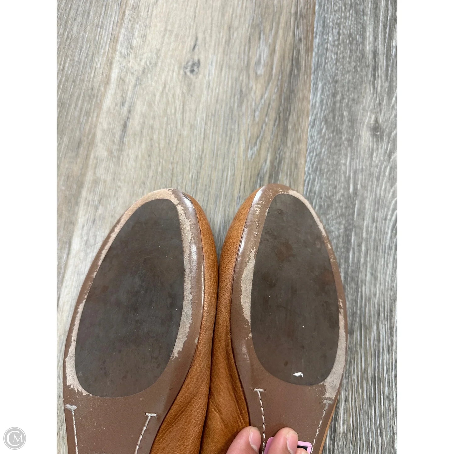 Shoes Designer By Tory Burch In Tan, Size: 10