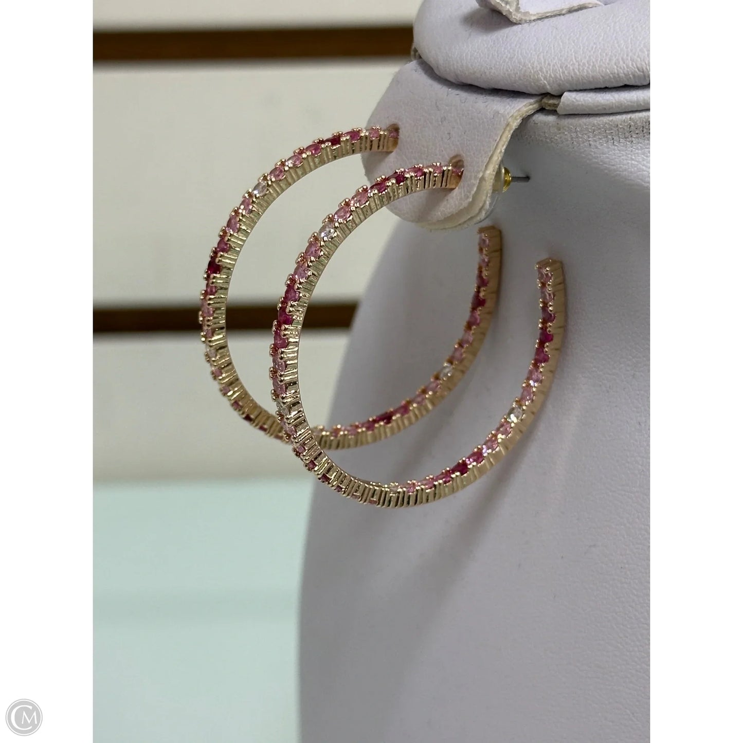 Earrings Hoop By Park Lane