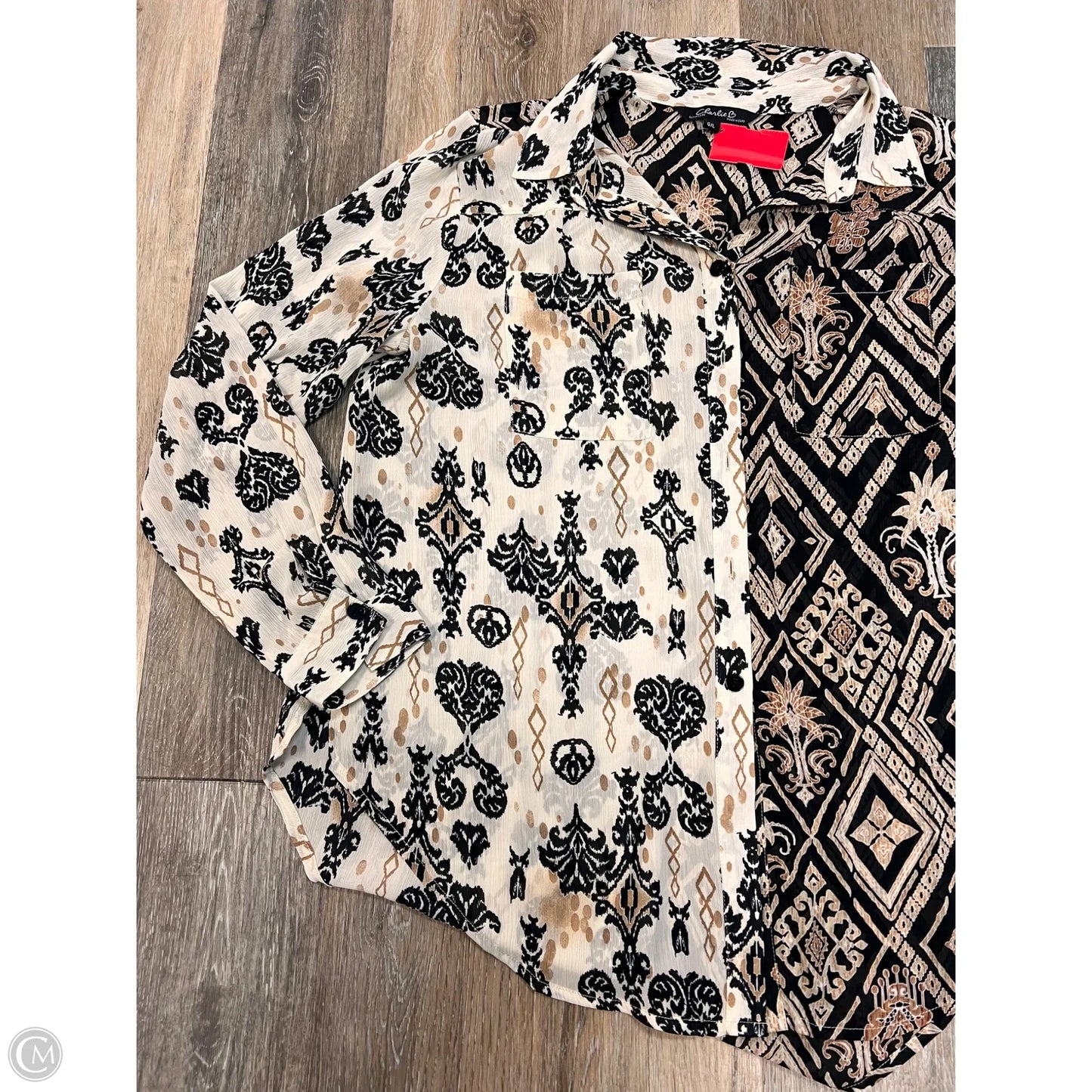 Blouse Long Sleeve By Charlie B In Black & Cream, Size: L