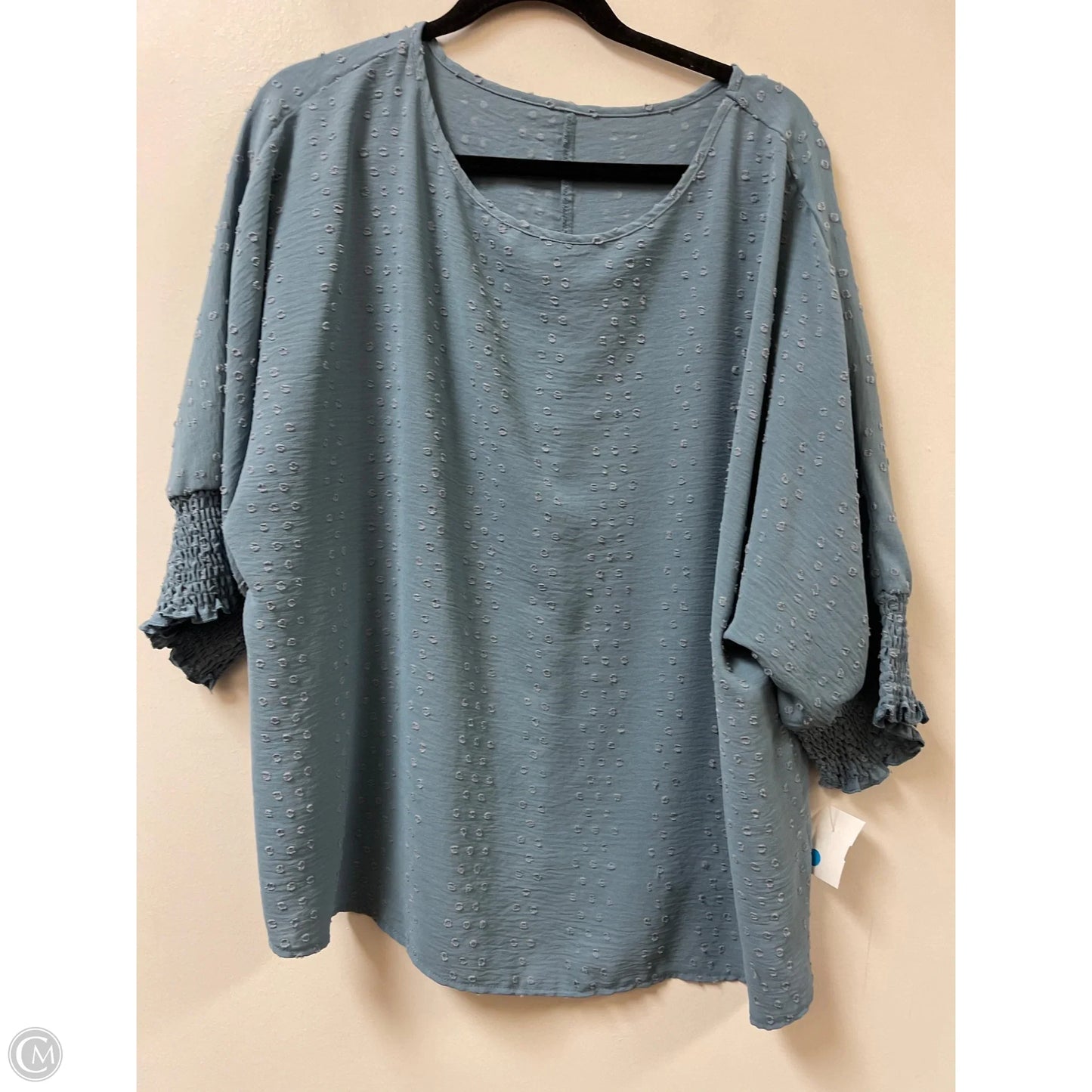 Top Short Sleeve By Shein In Blue & Brown, Size: 2x