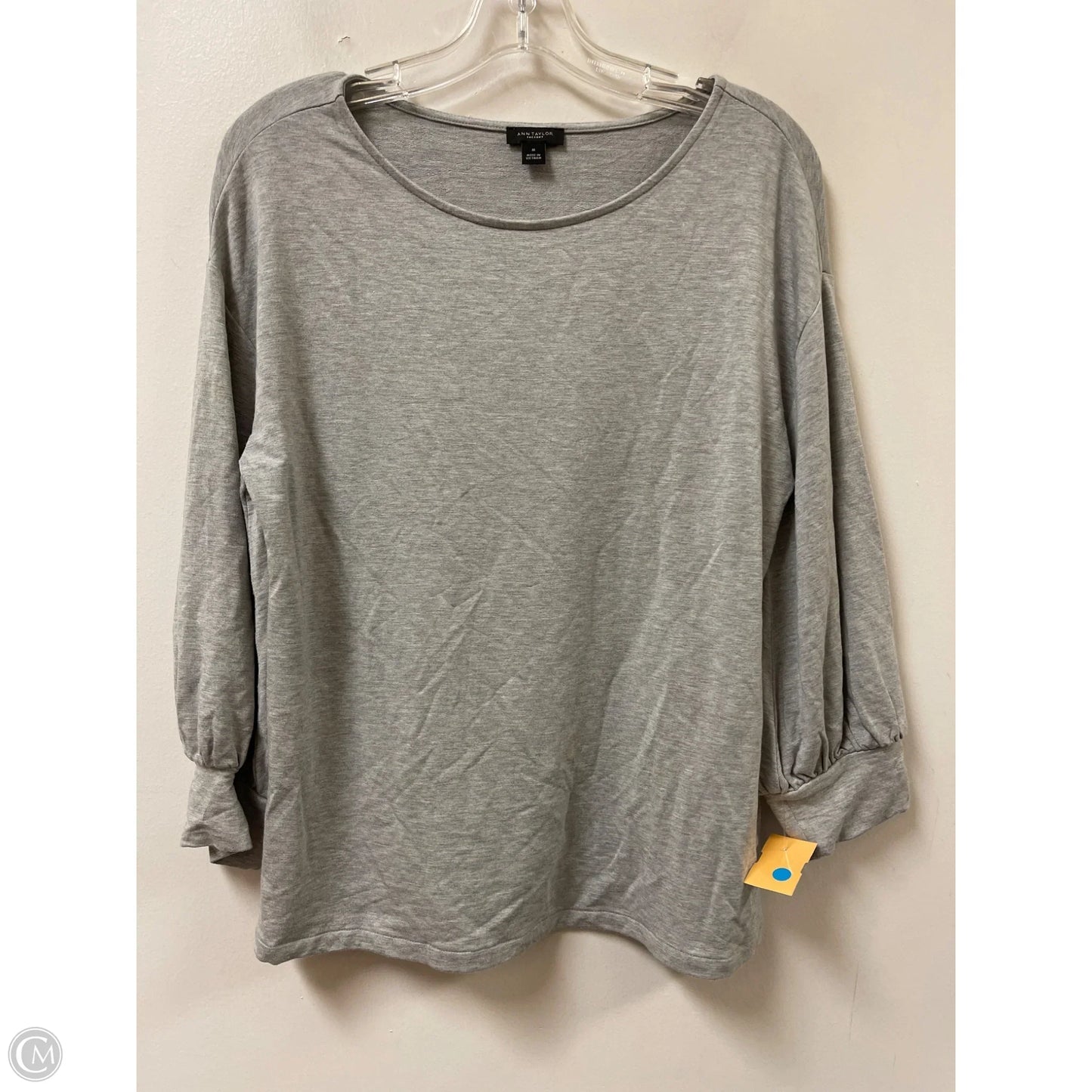 Top Long Sleeve By Ann Taylor In Grey, Size: L