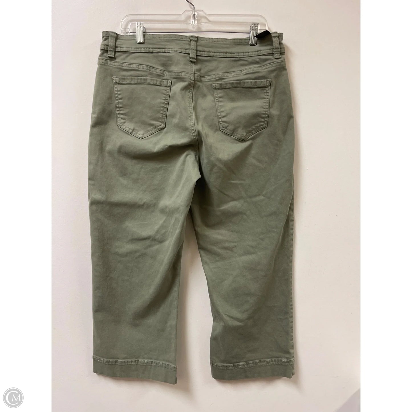 Pants Wide Leg By Buffalo David Bitton In Green, Size: 14