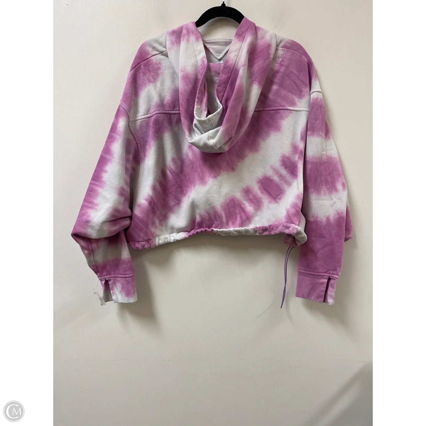 Athletic Sweatshirt Hoodie By Dsg Outerwear In Purple, Size: 2x