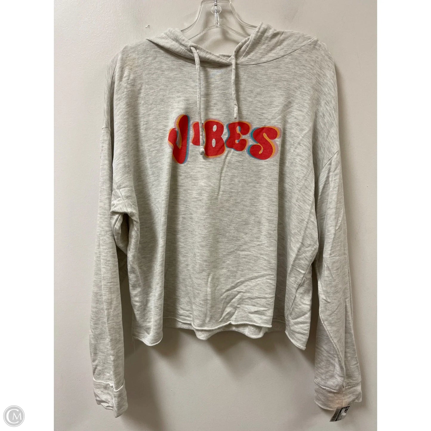 Sweatshirt Hoodie By Clothes Mentor In Grey, Size: L