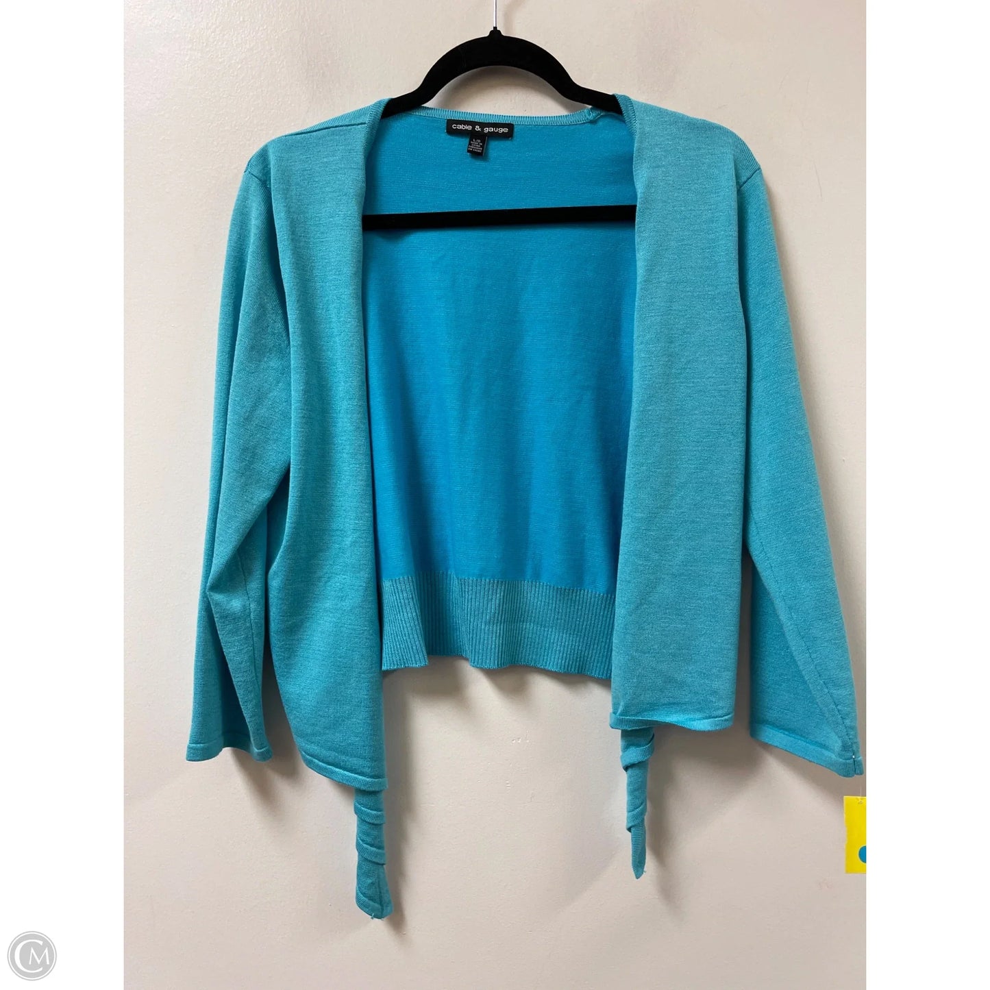 Cardigan By Cable And Gauge In Aqua, Size: L