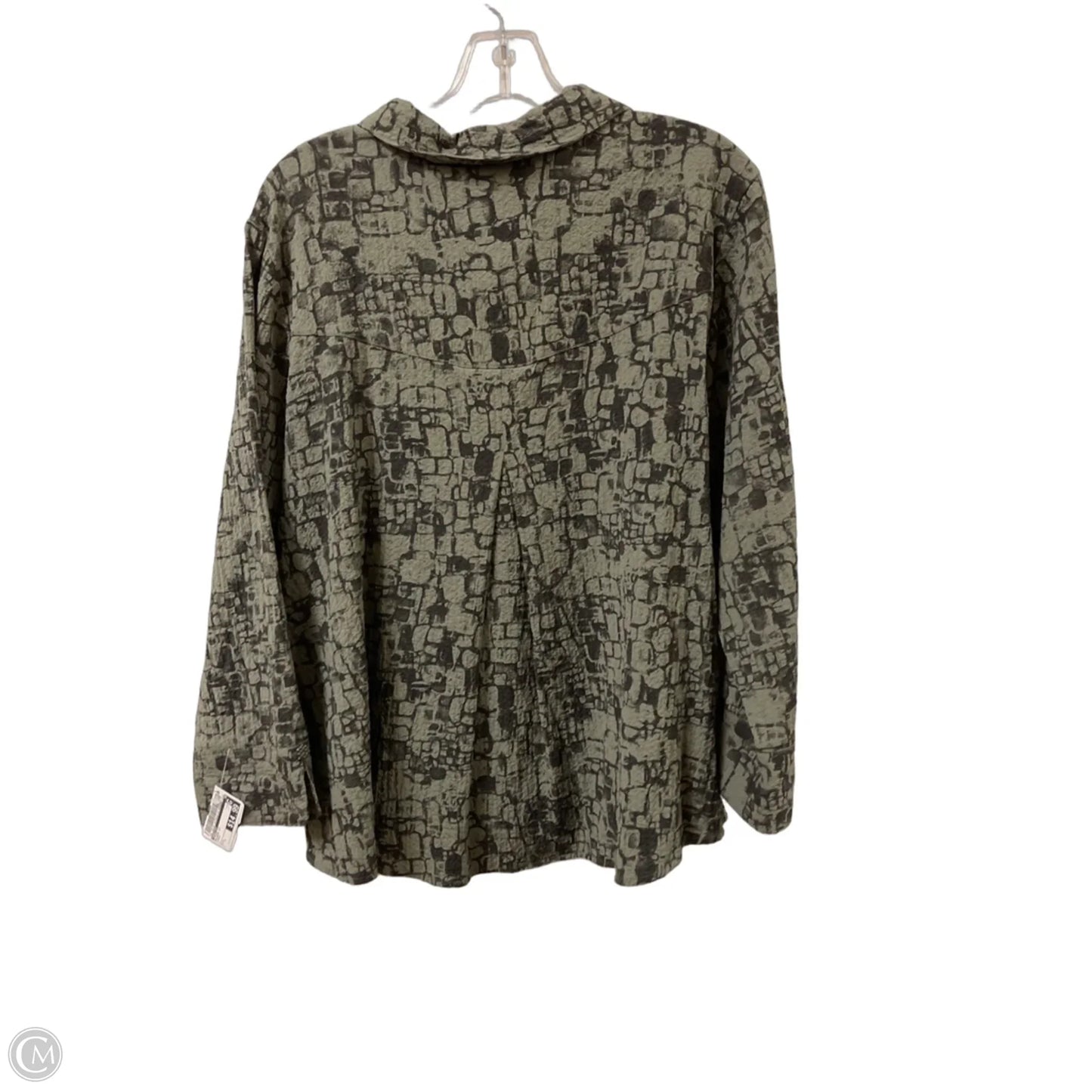 Blouse Long Sleeve By Habitat In Green, Size: L