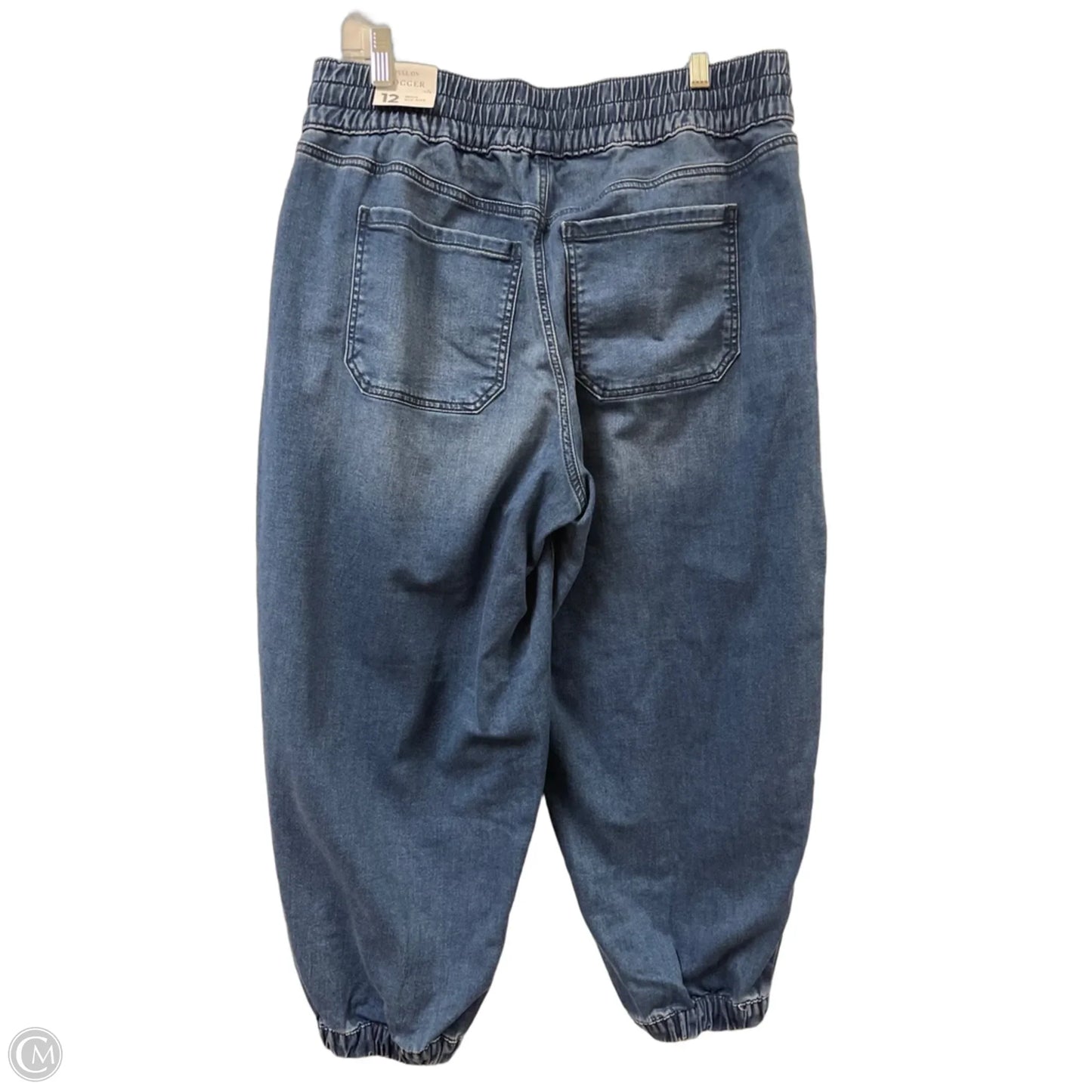 Pants Joggers By Lane Bryant In Blue Denim, Size: 12p