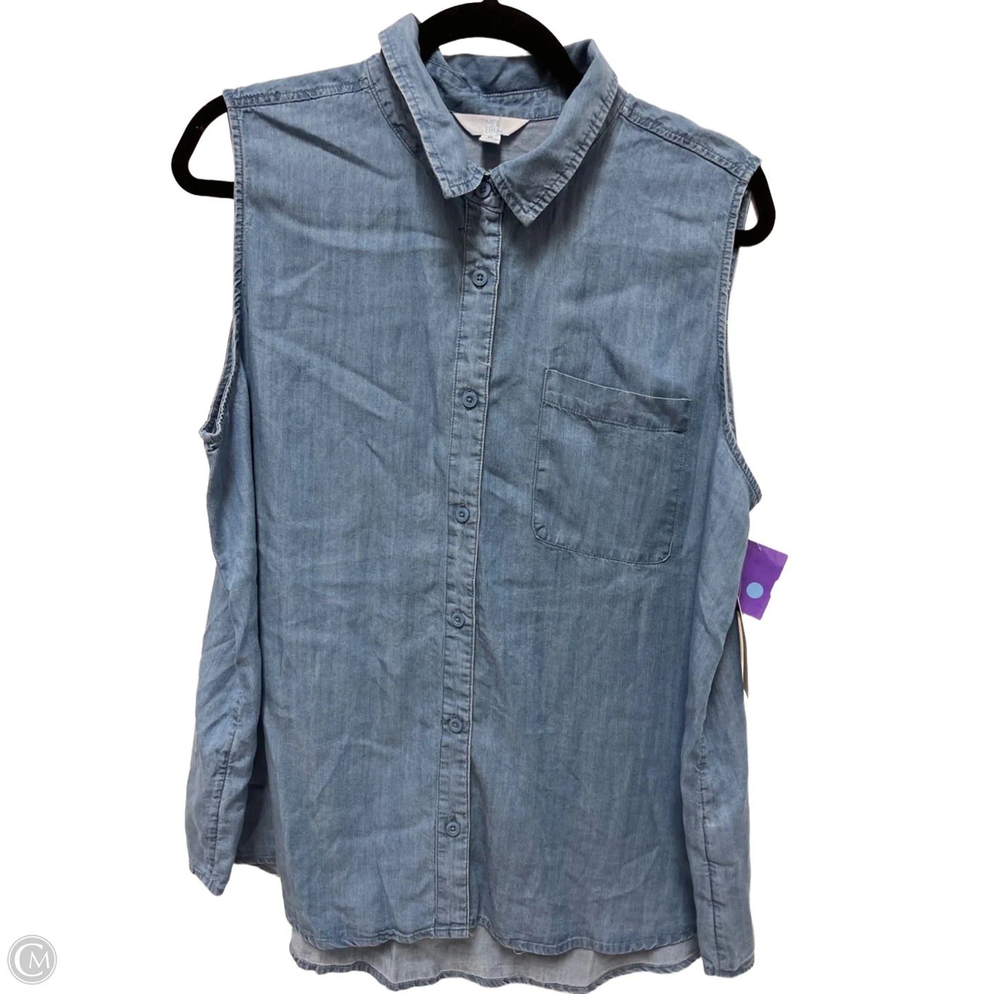 Blouse Sleeveless By Time And Tru In Blue, Size: Xl
