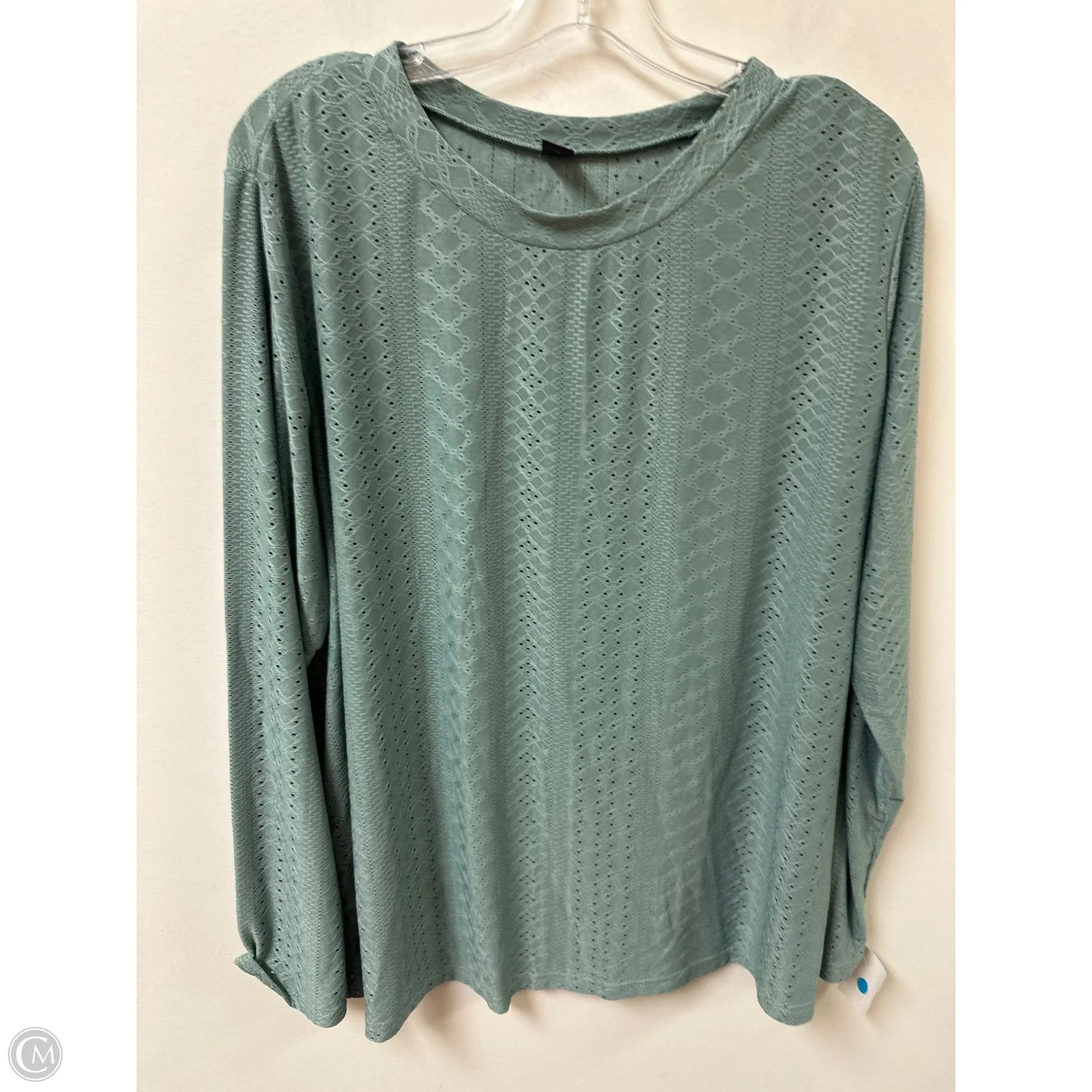 Top Long Sleeve By Shein In Green, Size: 3x