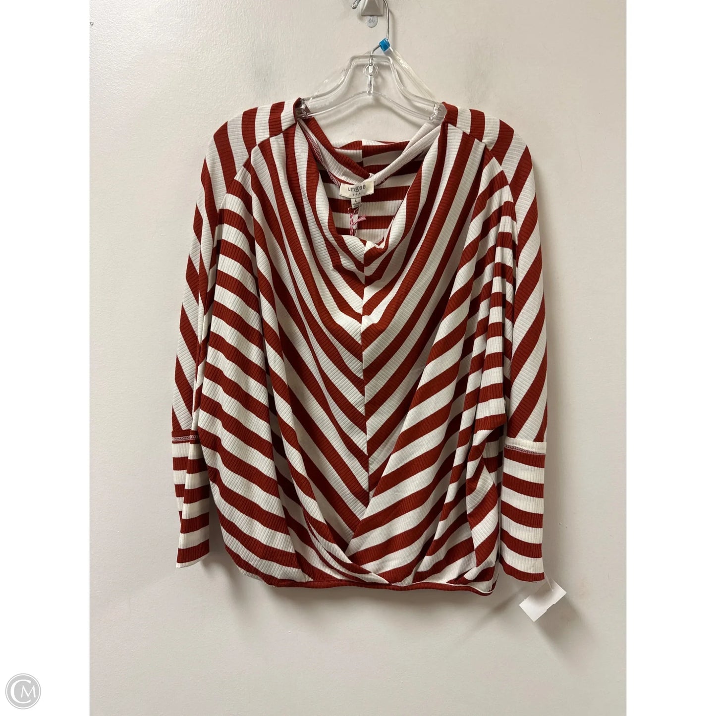 Top Long Sleeve By Umgee In Striped Pattern, Size: L