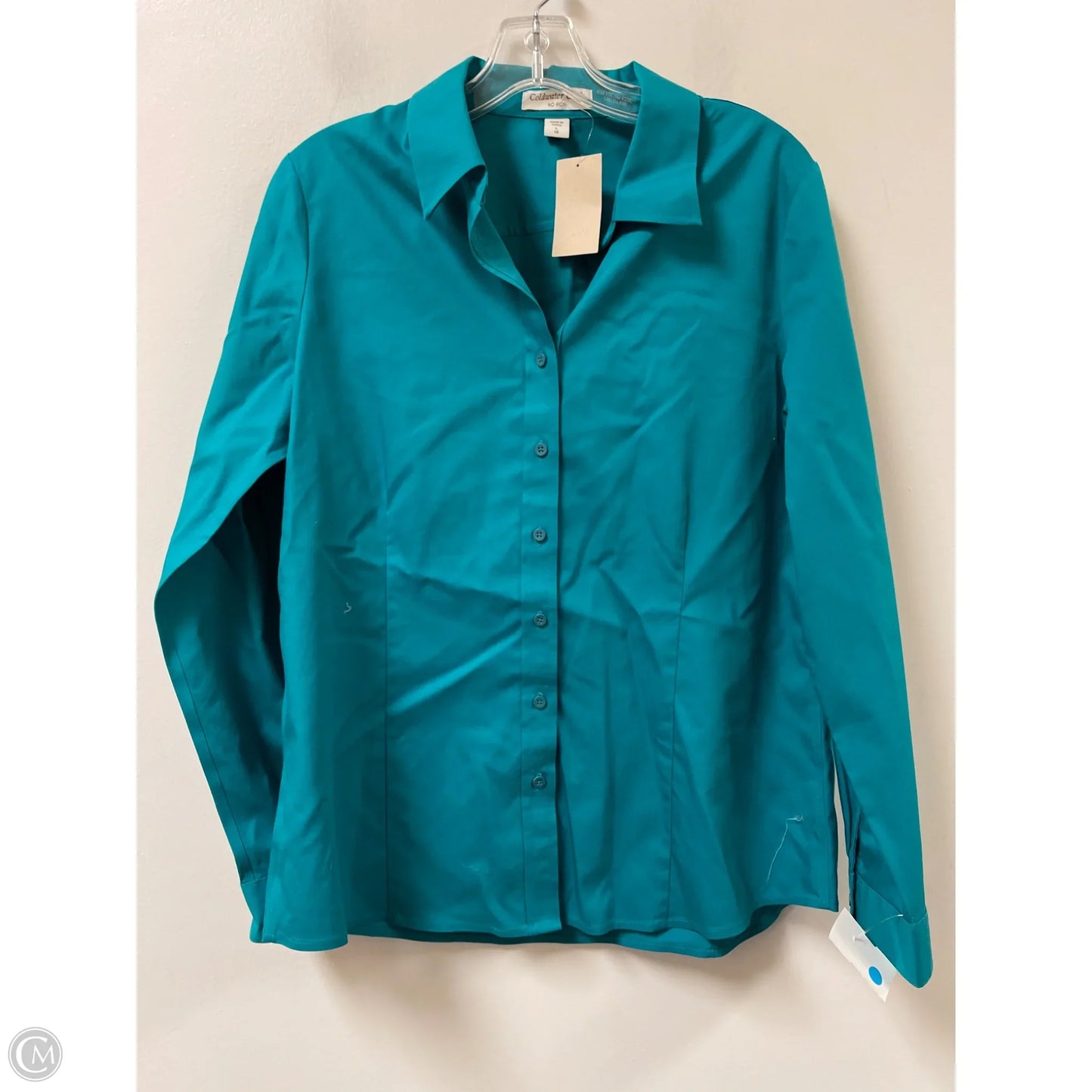 Blouse Long Sleeve By Coldwater Creek In Teal, Size: L