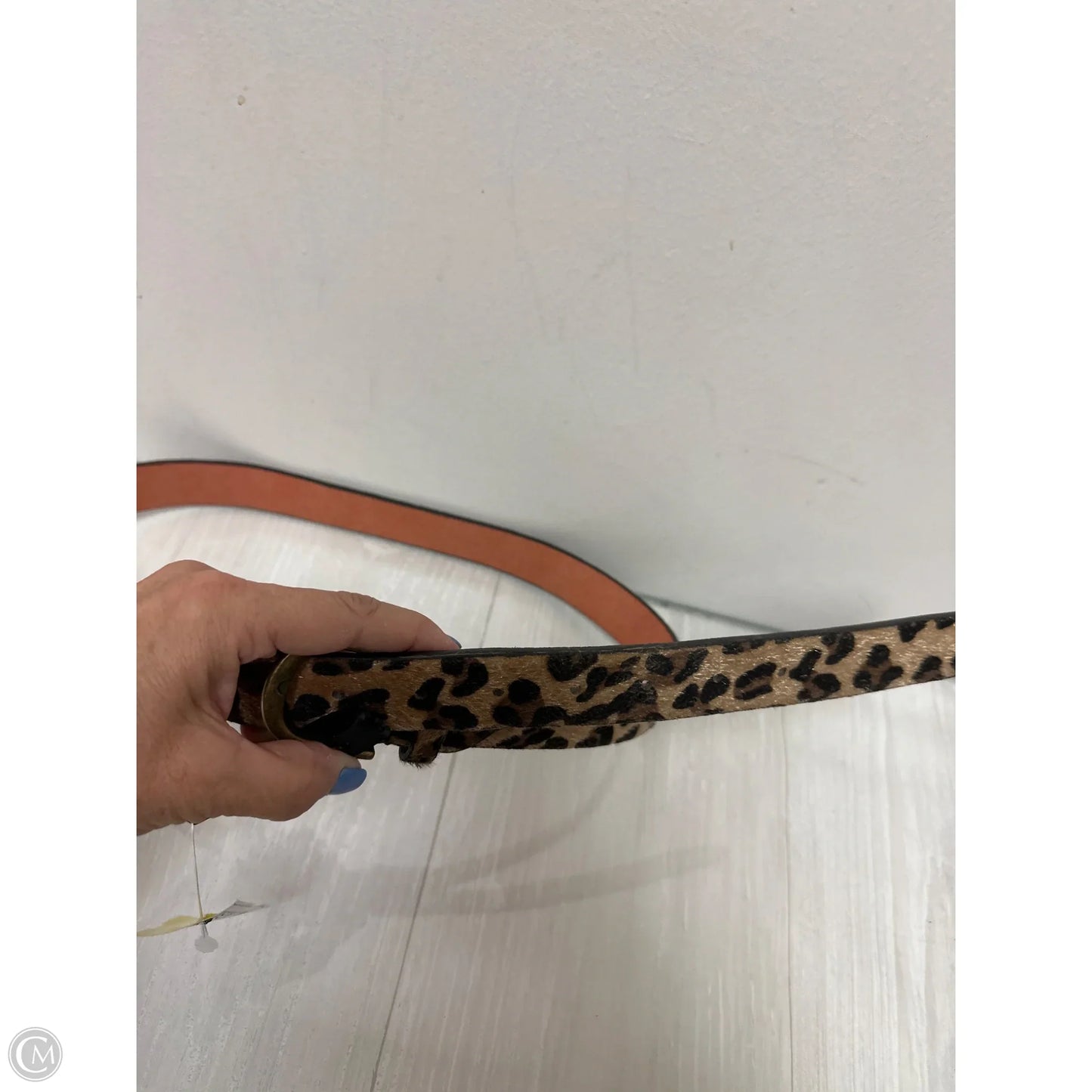 Belt By Clothes Mentor