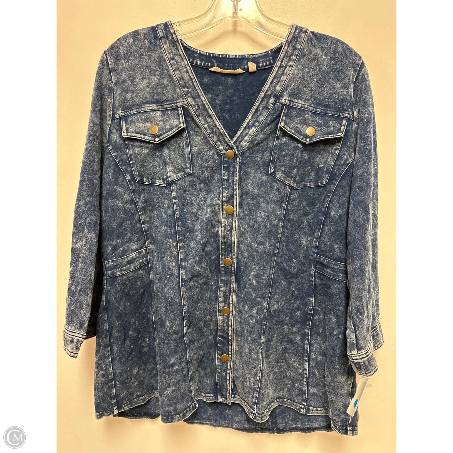 Top Long Sleeve By Soft Surroundings In Blue, Size: Lp