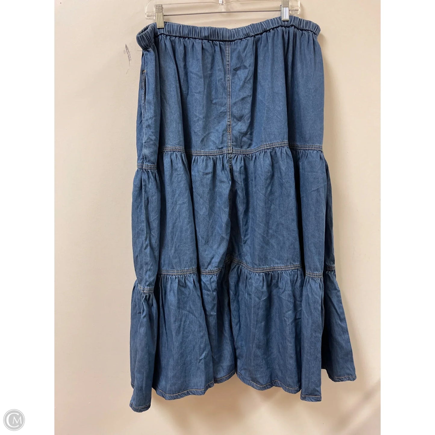 Skirt Maxi By Cider In Blue, Size: 22