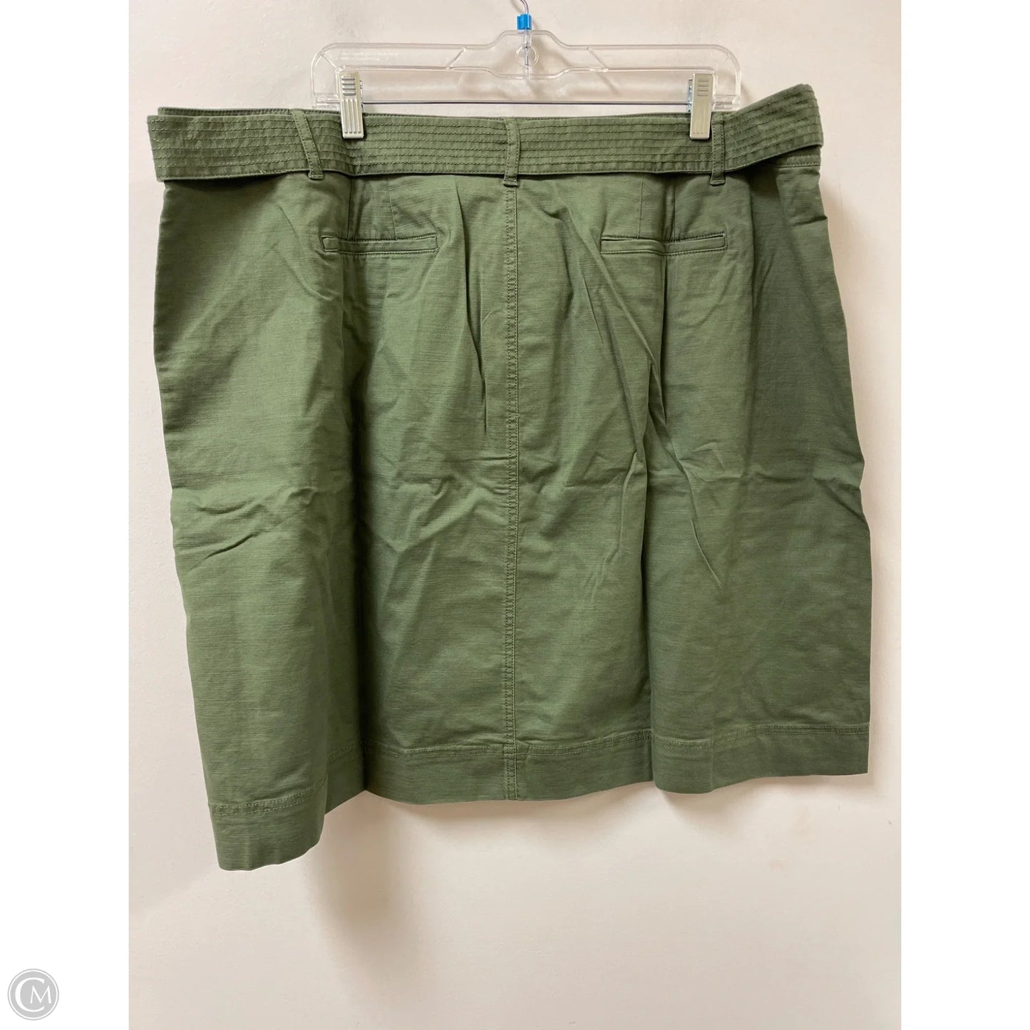 Skirt Midi By Talbots In Green, Size: 22