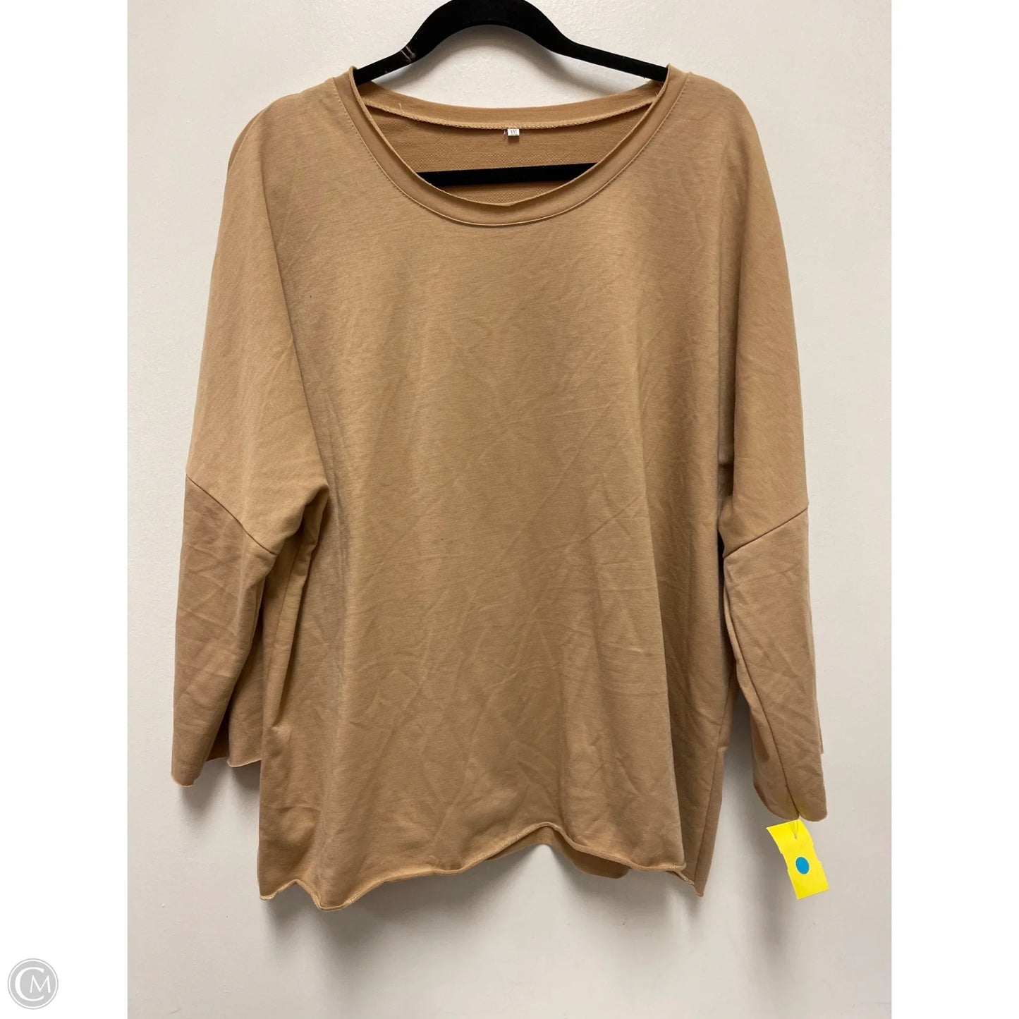 Top Long Sleeve By Clothes Mentor In Tan, Size: 1x