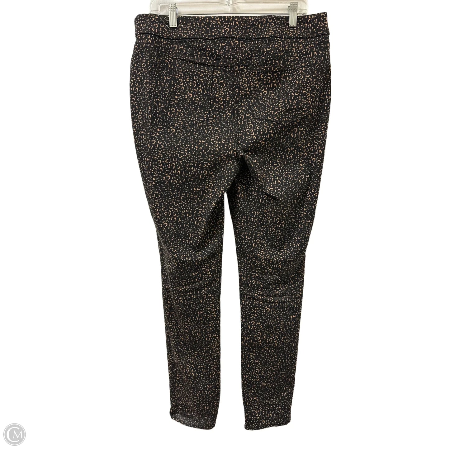 Jeans Jeggings By Chicos In Black, Size: 10