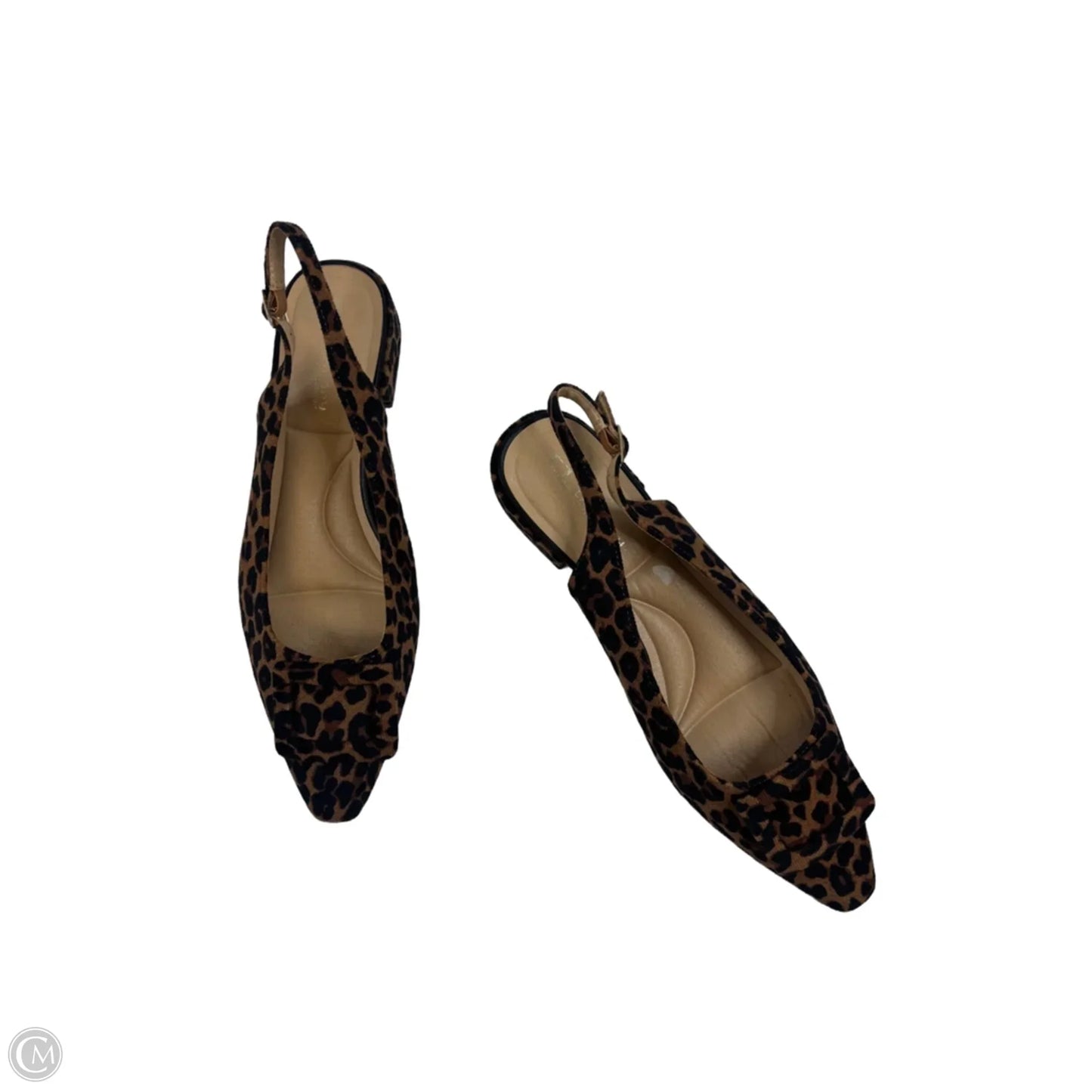 Shoes Flats By Cl By Chinese Laundry In Animal Print, Size: 9.5