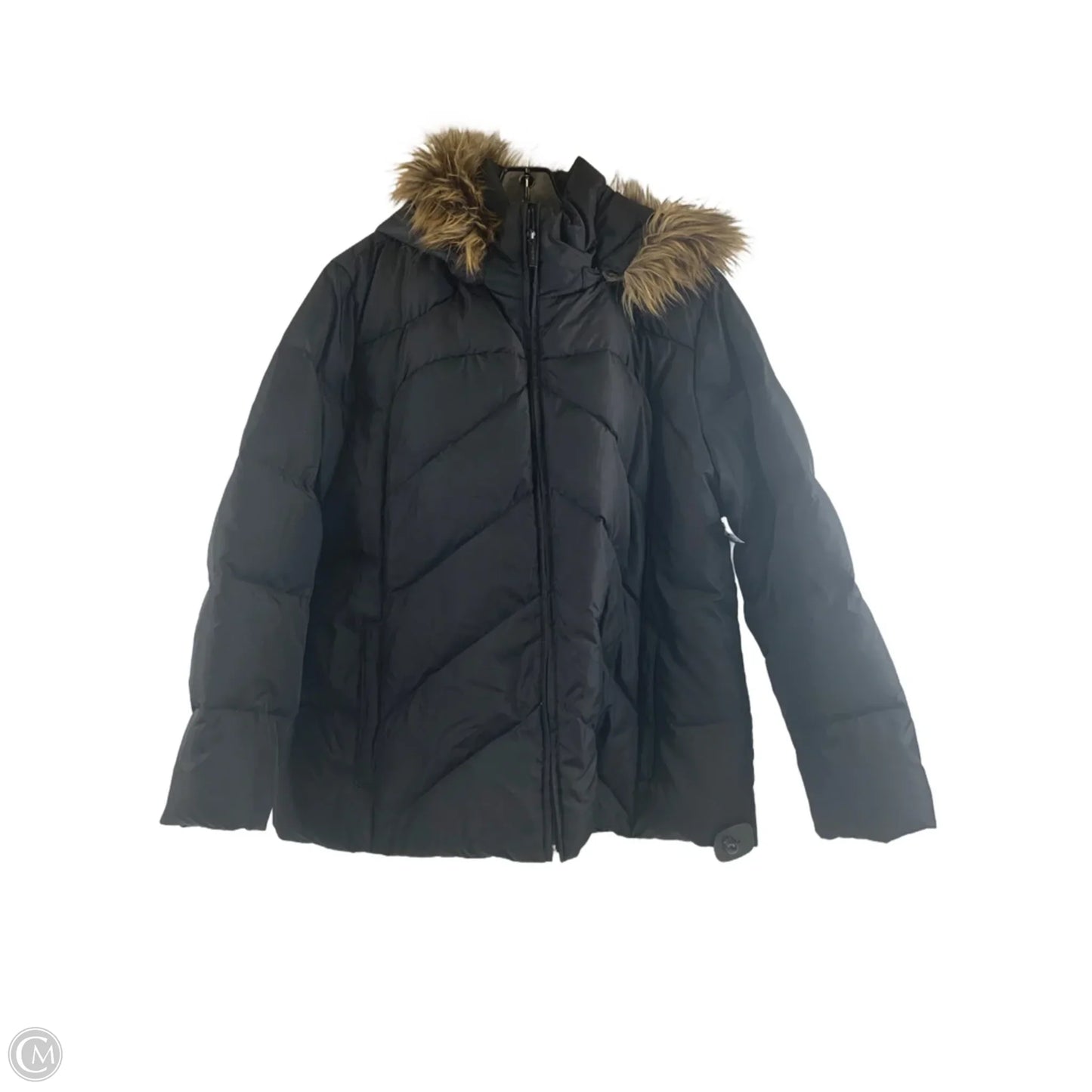 Jacket Puffer & Quilted By Calvin Klein In Black, Size: 1x
