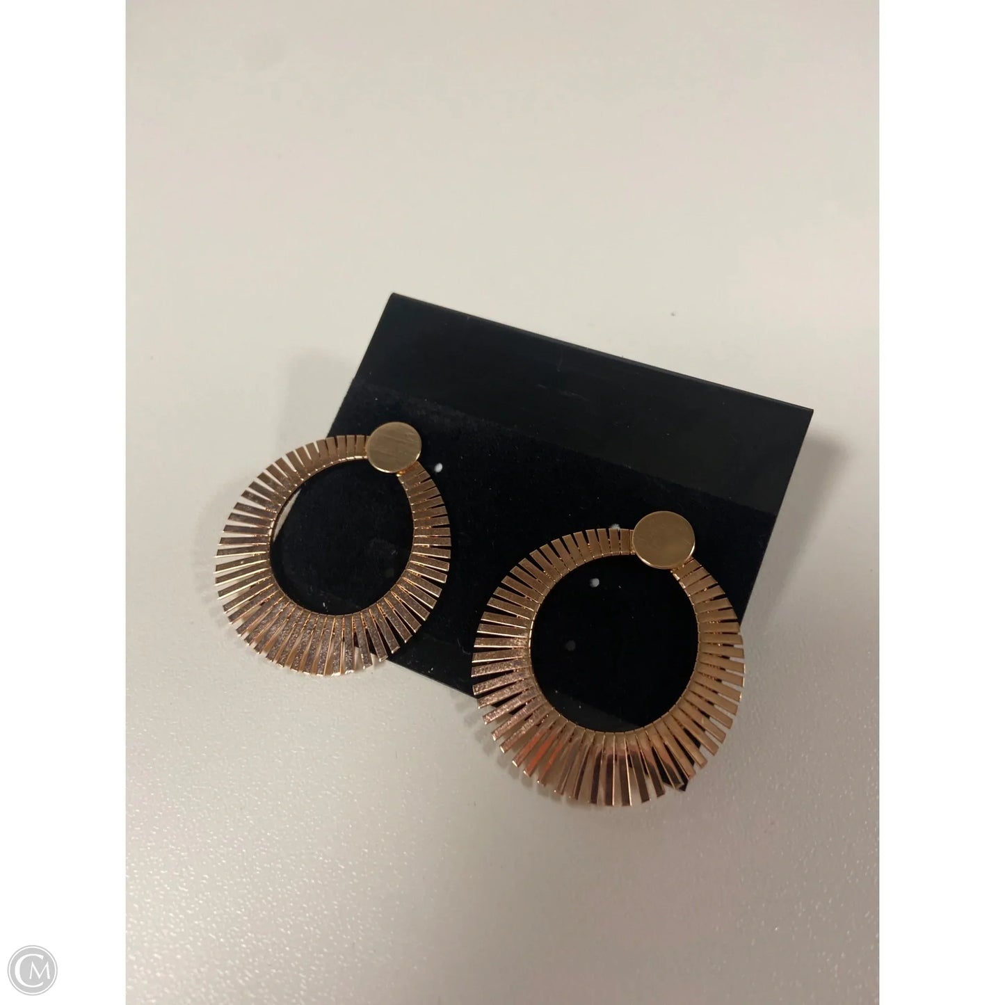 Earrings Other By Clothes Mentor