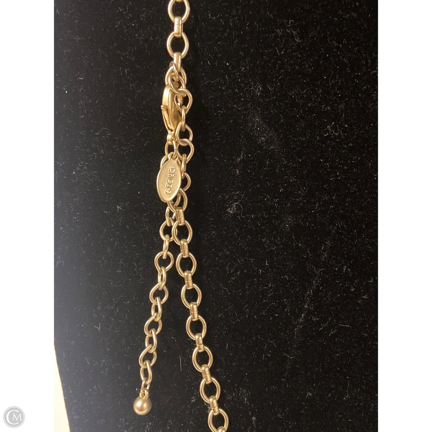 Necklace Pendant By Chicos