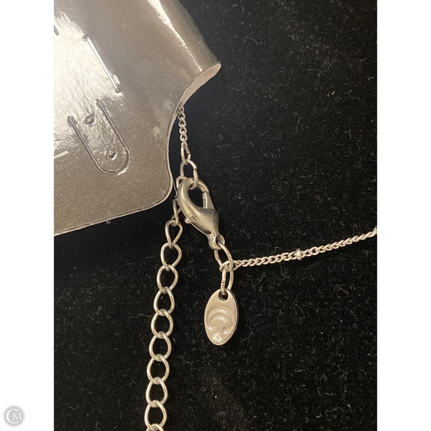 Necklace Lariat & Y-drop By Charming Charlie