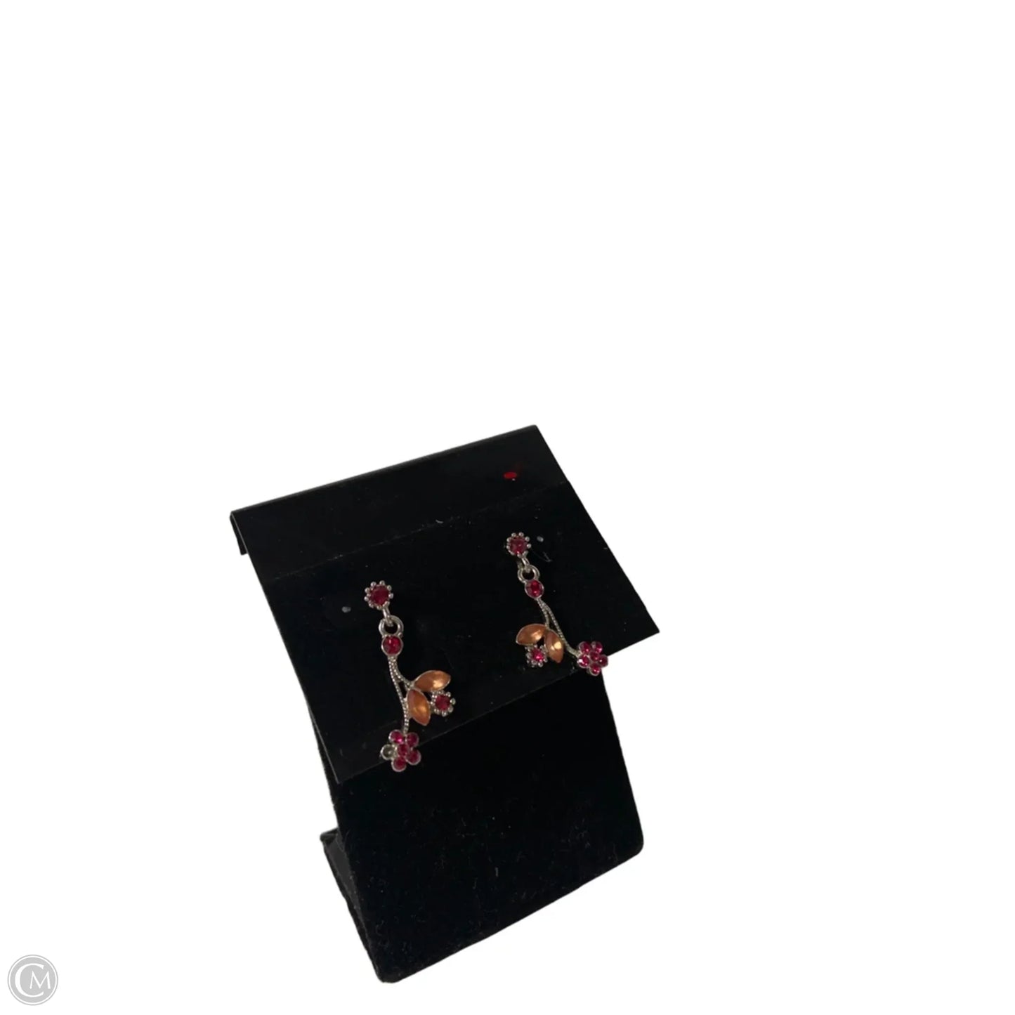 Earrings Dangle/drop By Clothes Mentor