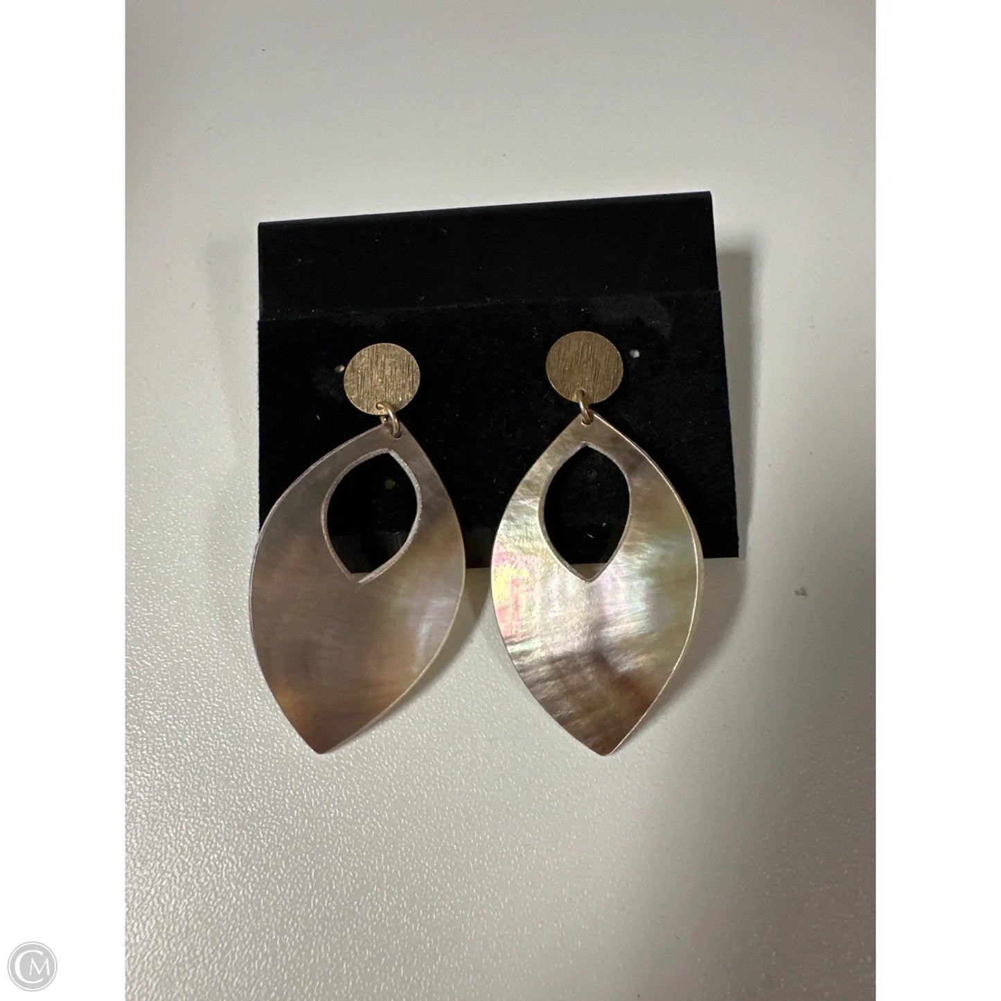 Earrings Dangle/drop By Clothes Mentor