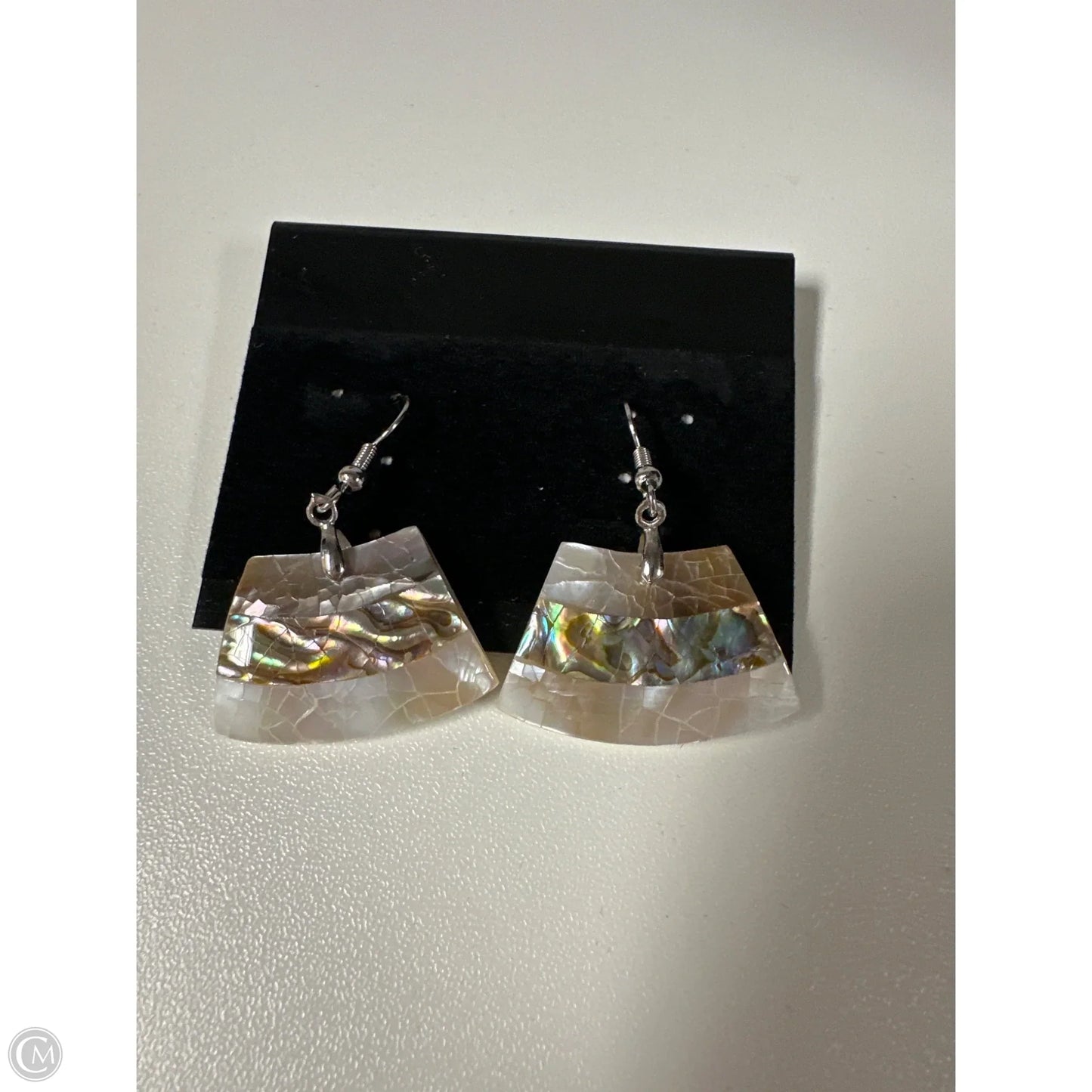 Earrings Dangle/drop By Clothes Mentor