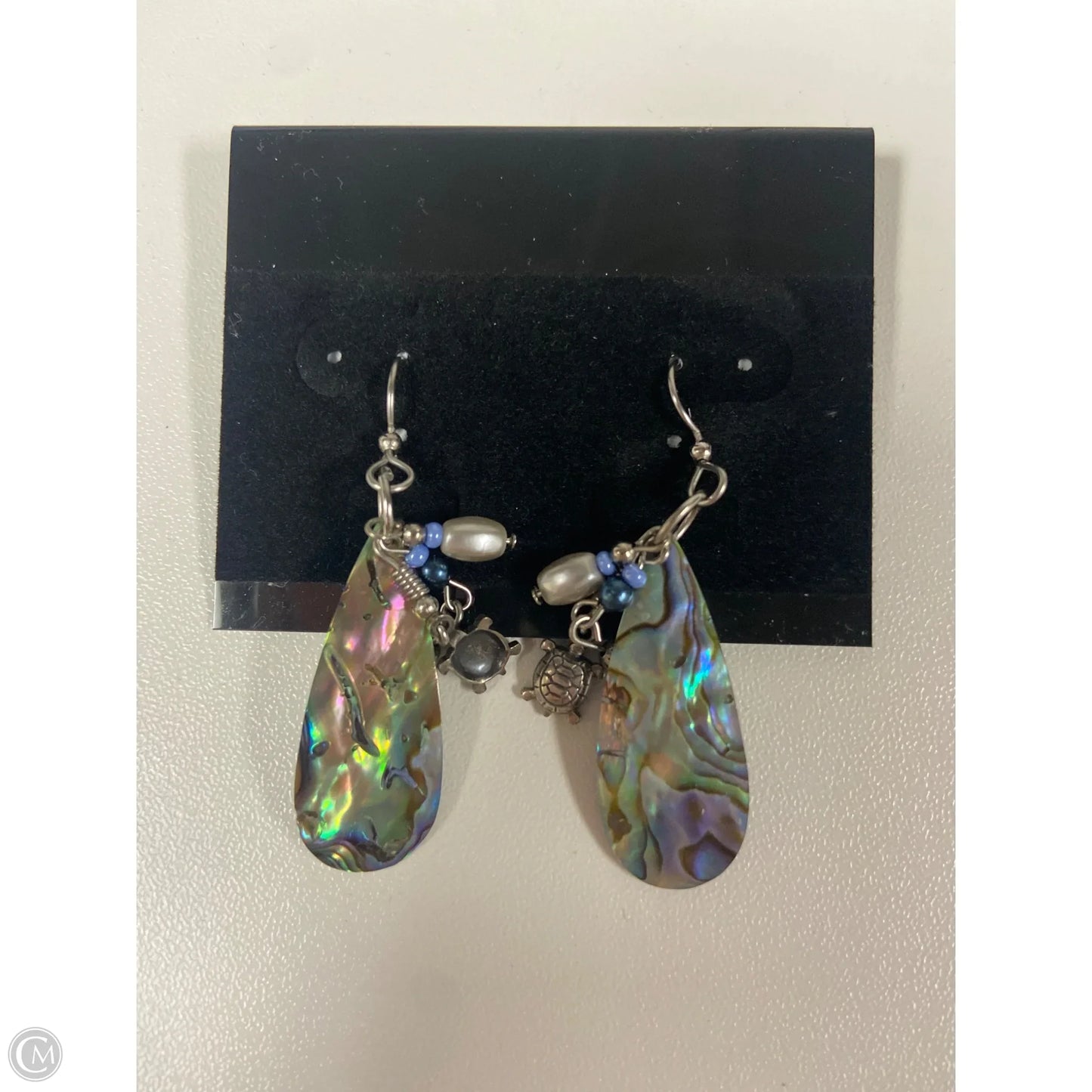 Earrings Dangle/drop By Clothes Mentor