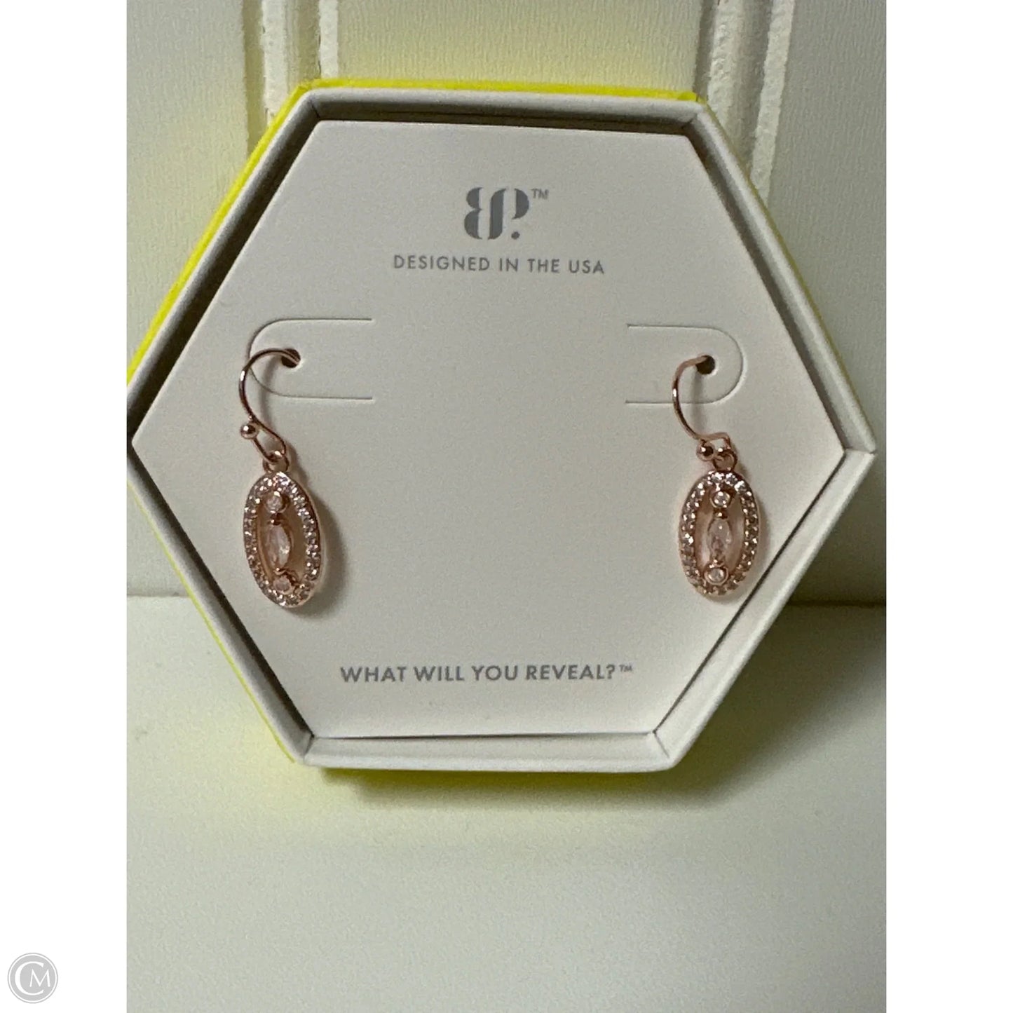 Earrings Dangle/drop By Clothes Mentor