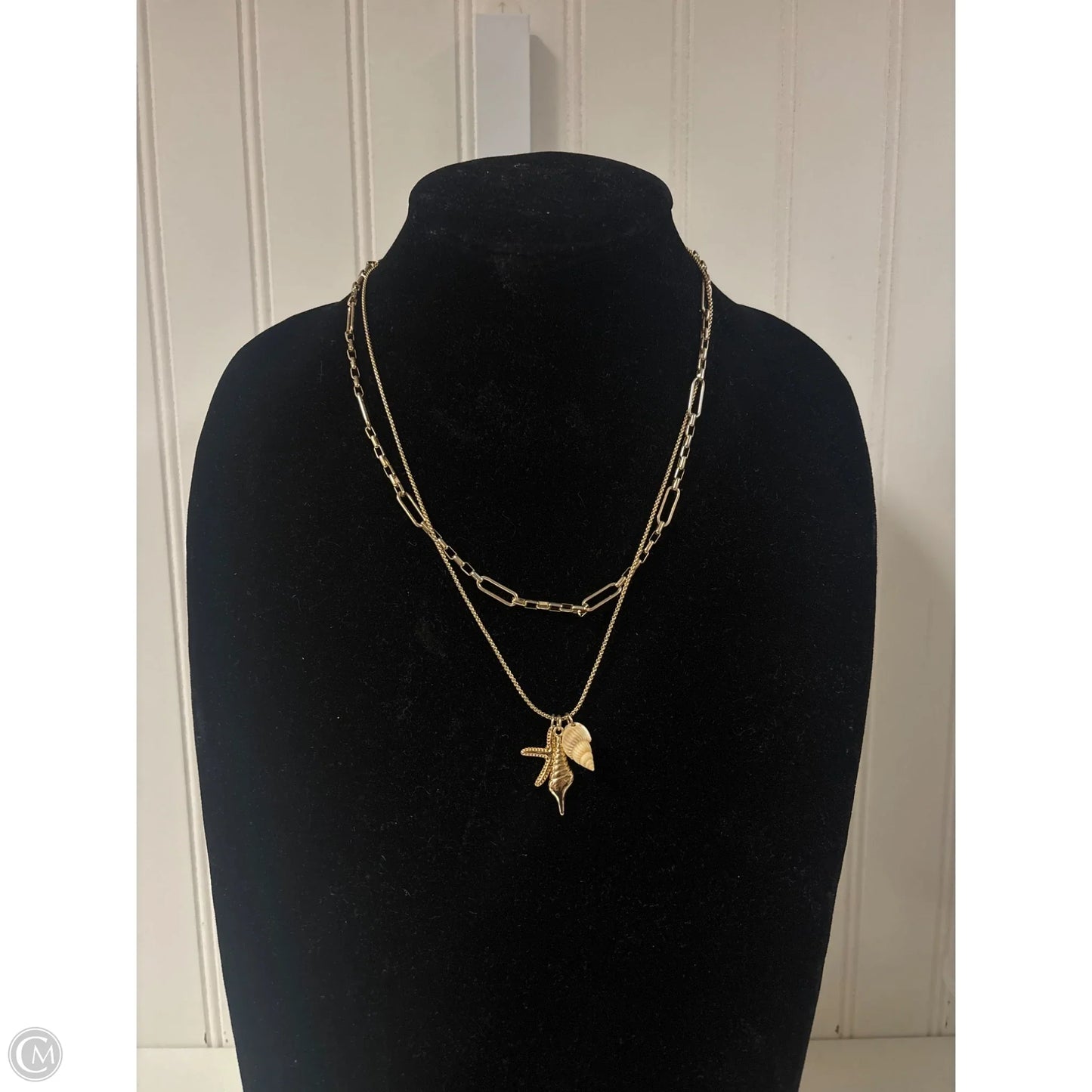 Necklace Layered By Time And Tru, Size: 1