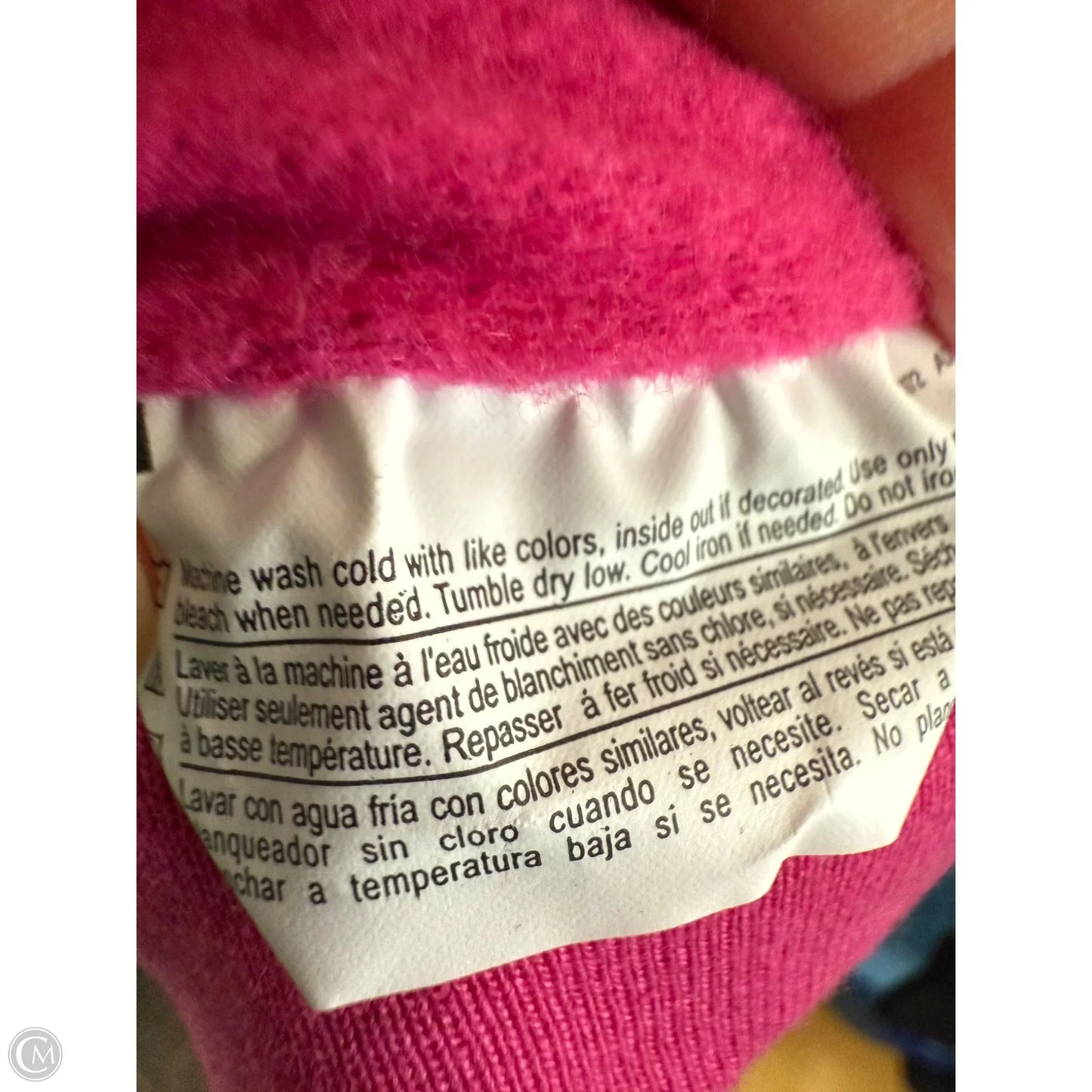Sweatshirt Hoodie By Champion In Pink, Size: 2x