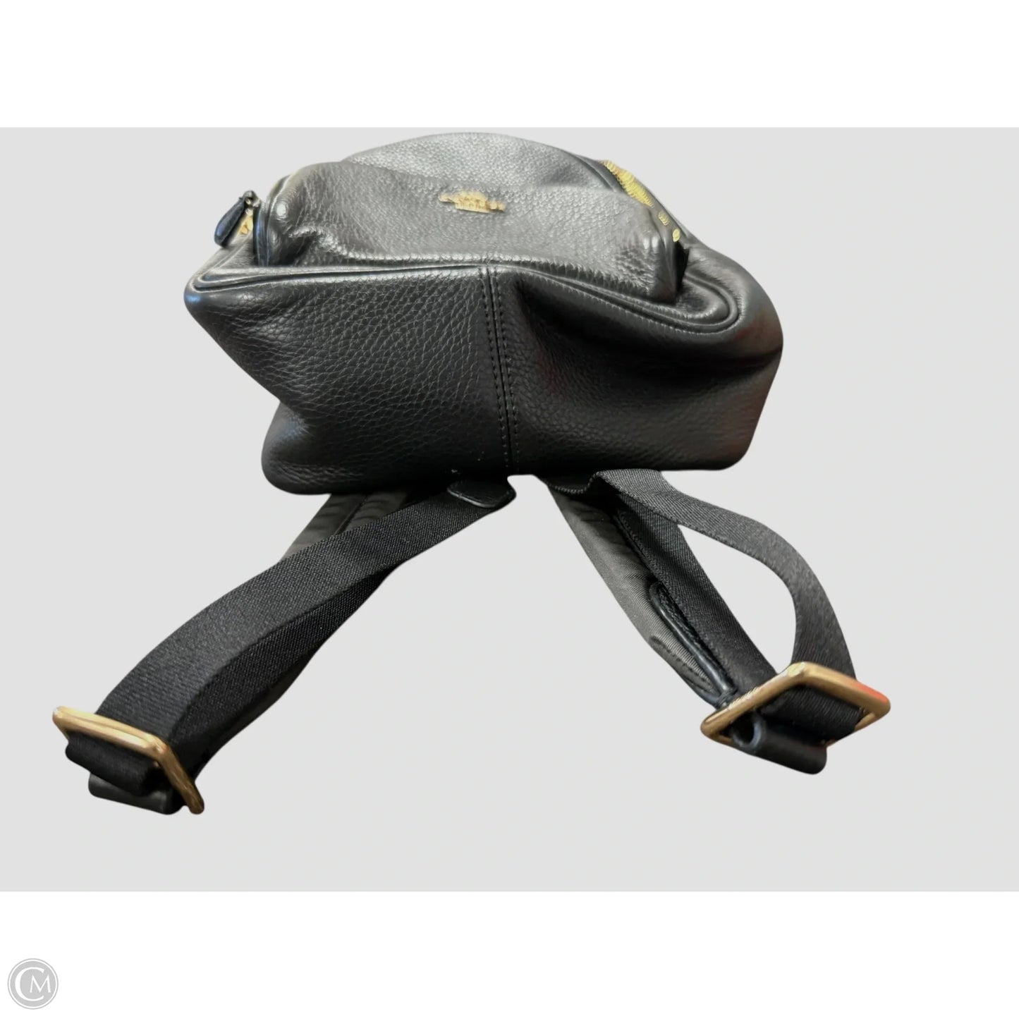Backpack Designer By Coach, Size: Small
