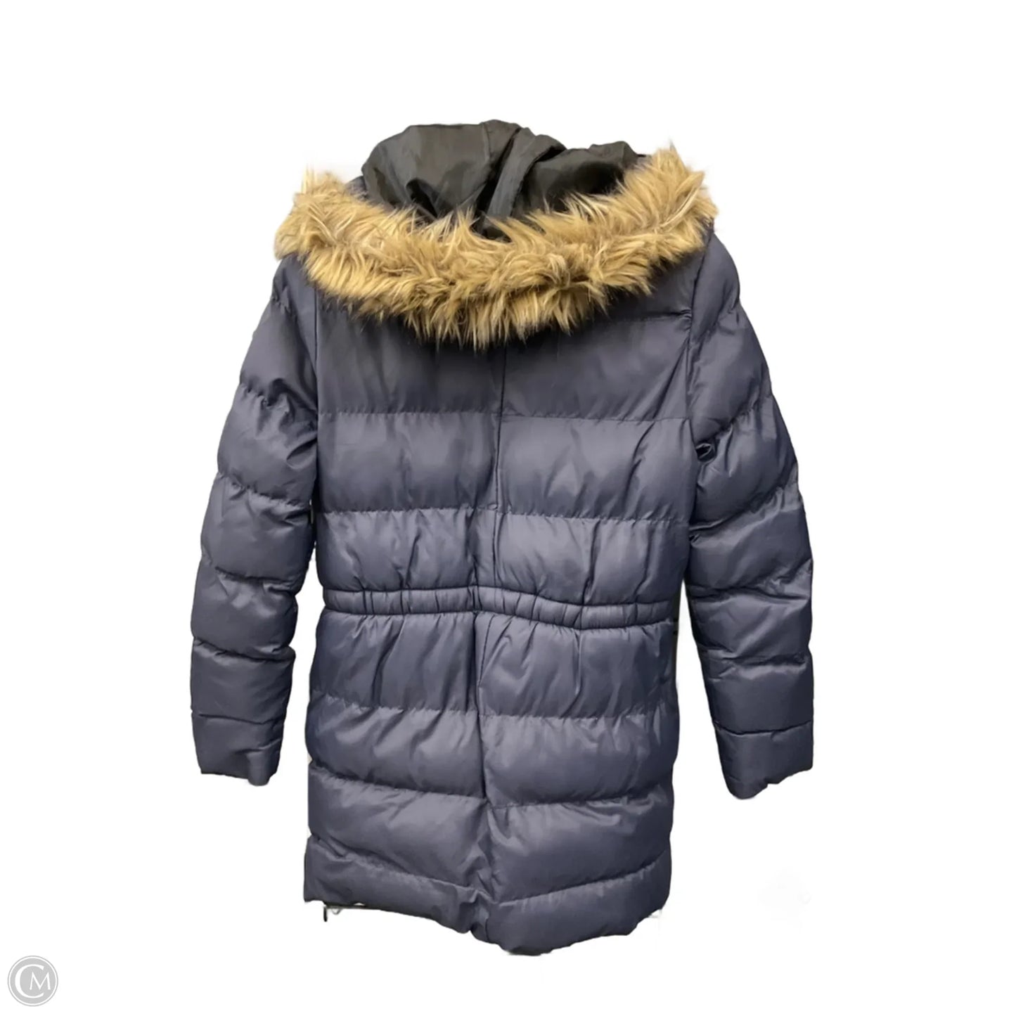 Jacket Puffer & Quilted By Marc New York In Navy, Size: M