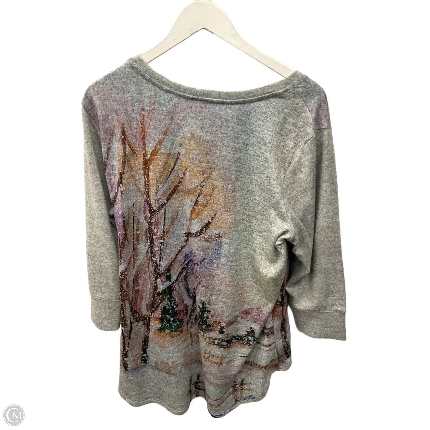 Top Long Sleeve By Christopher And Banks In Grey, Size: Xl
