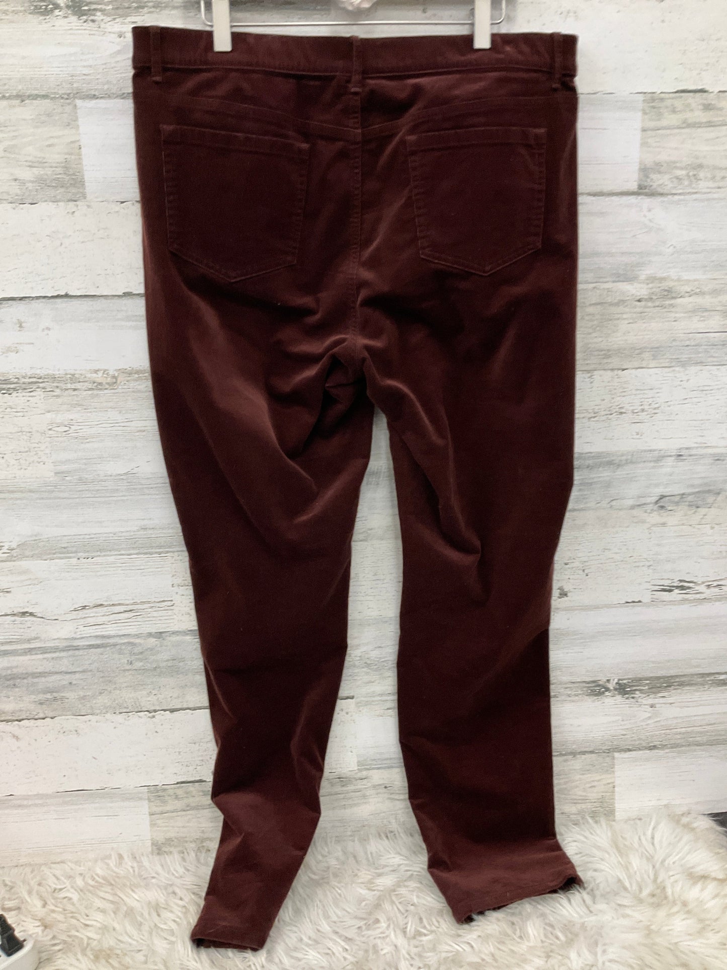 Jeans Straight By J. Jill In Red, Size: 12