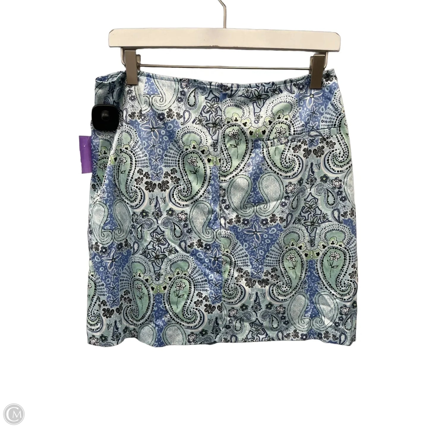 Athletic Skort By Clothes Mentor In Blue, Size: M