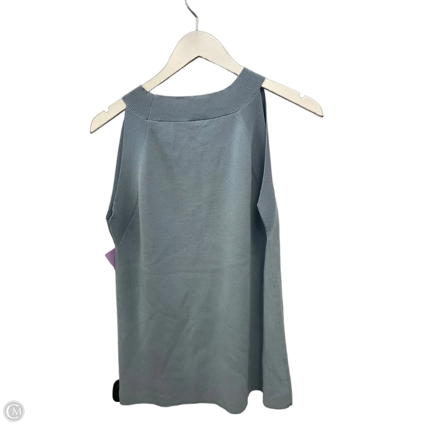 Top Sleeveless By Ann Taylor In Blue, Size: Xxl