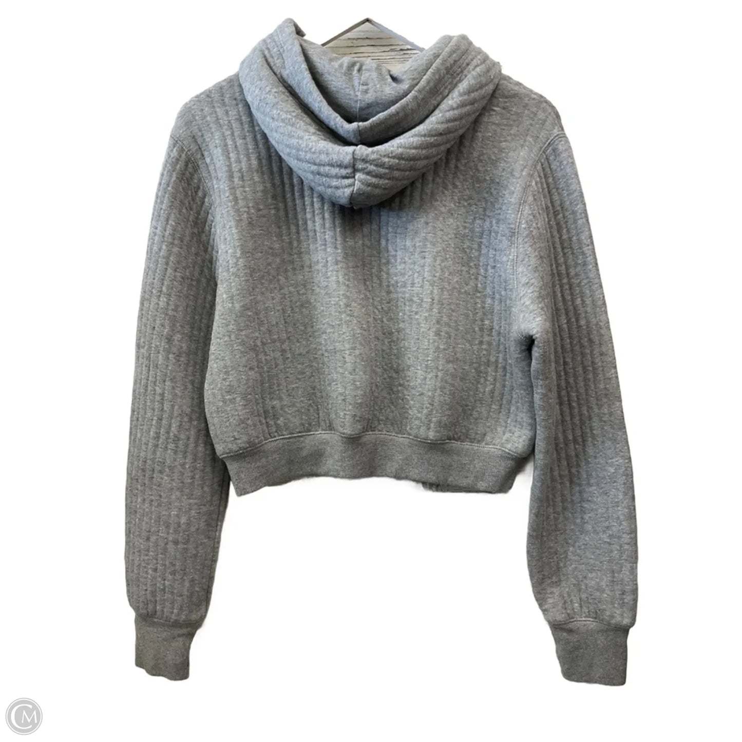 Sweatshirt Hoodie By Aerie In Grey, Size: Xs