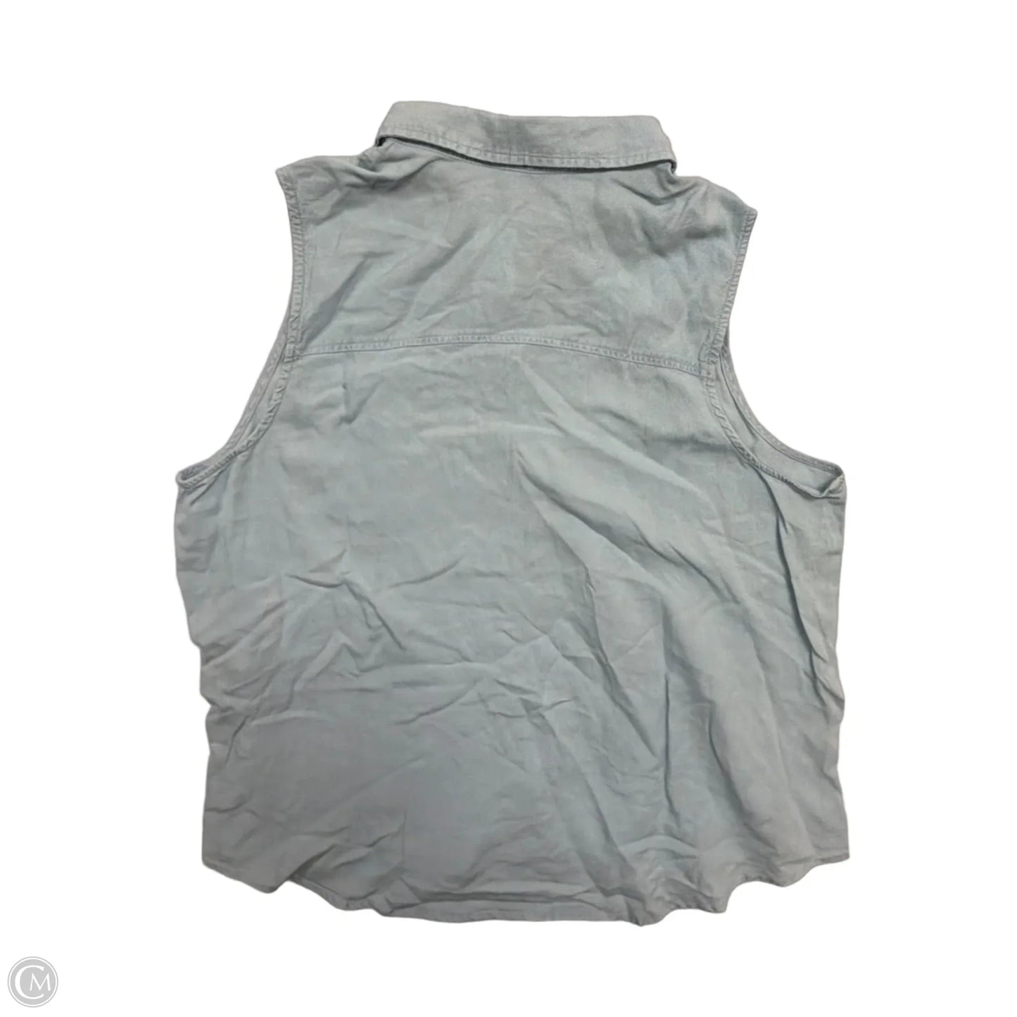 Top Sleeveless By Time And Tru In Blue, Size: Xl