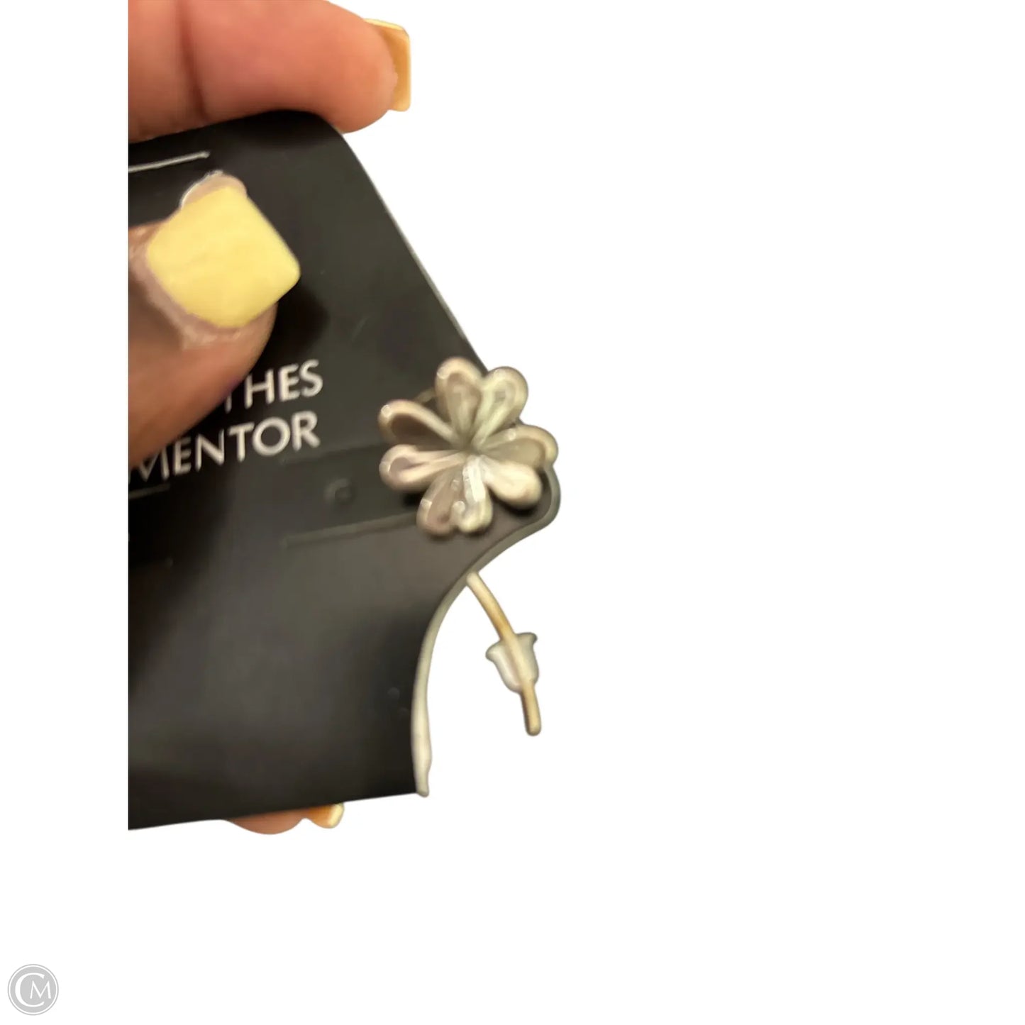 Earrings Other By Pandora