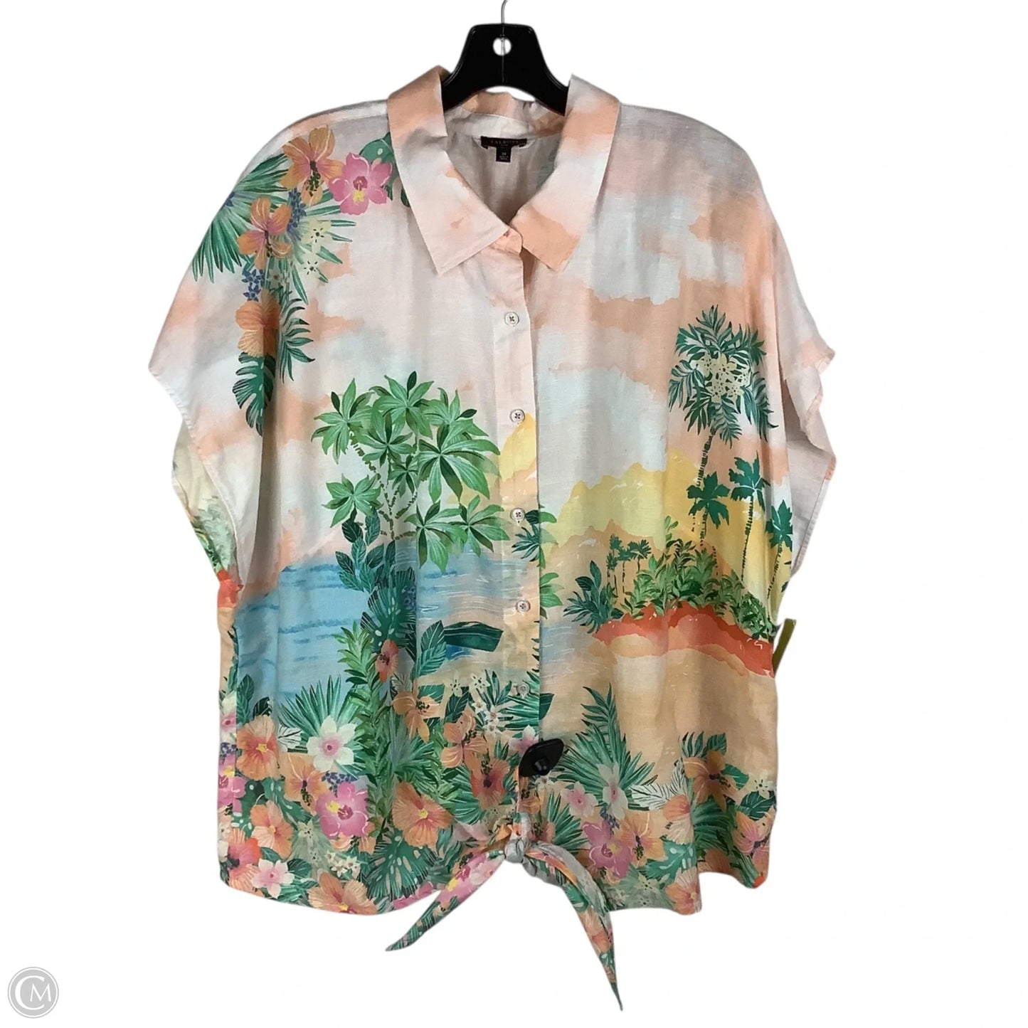 Top Short Sleeve By Talbots In Multi-colored, Size: 3x